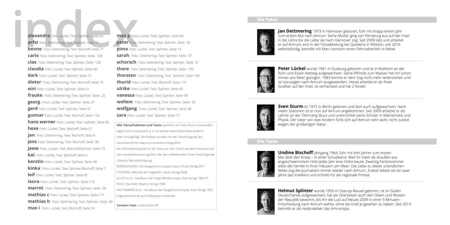 Beispielinhalt (Bild) Mit Ecken und Kanten - Amrumer Gesichter