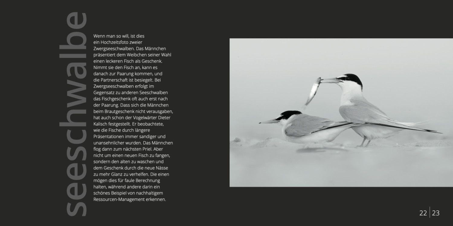 Beispielinhalt (Bild) Mit Ecken und Kanten - Amrumer Gesichter