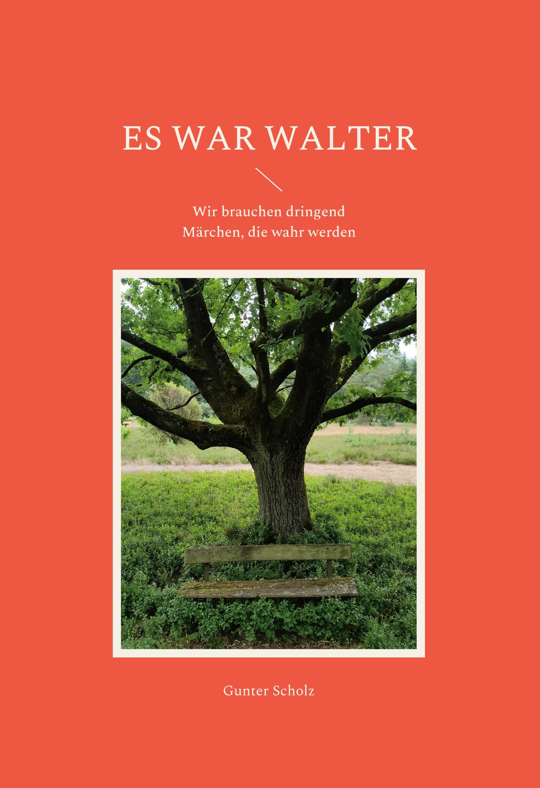 Vorderes Coverbild Es war Walter