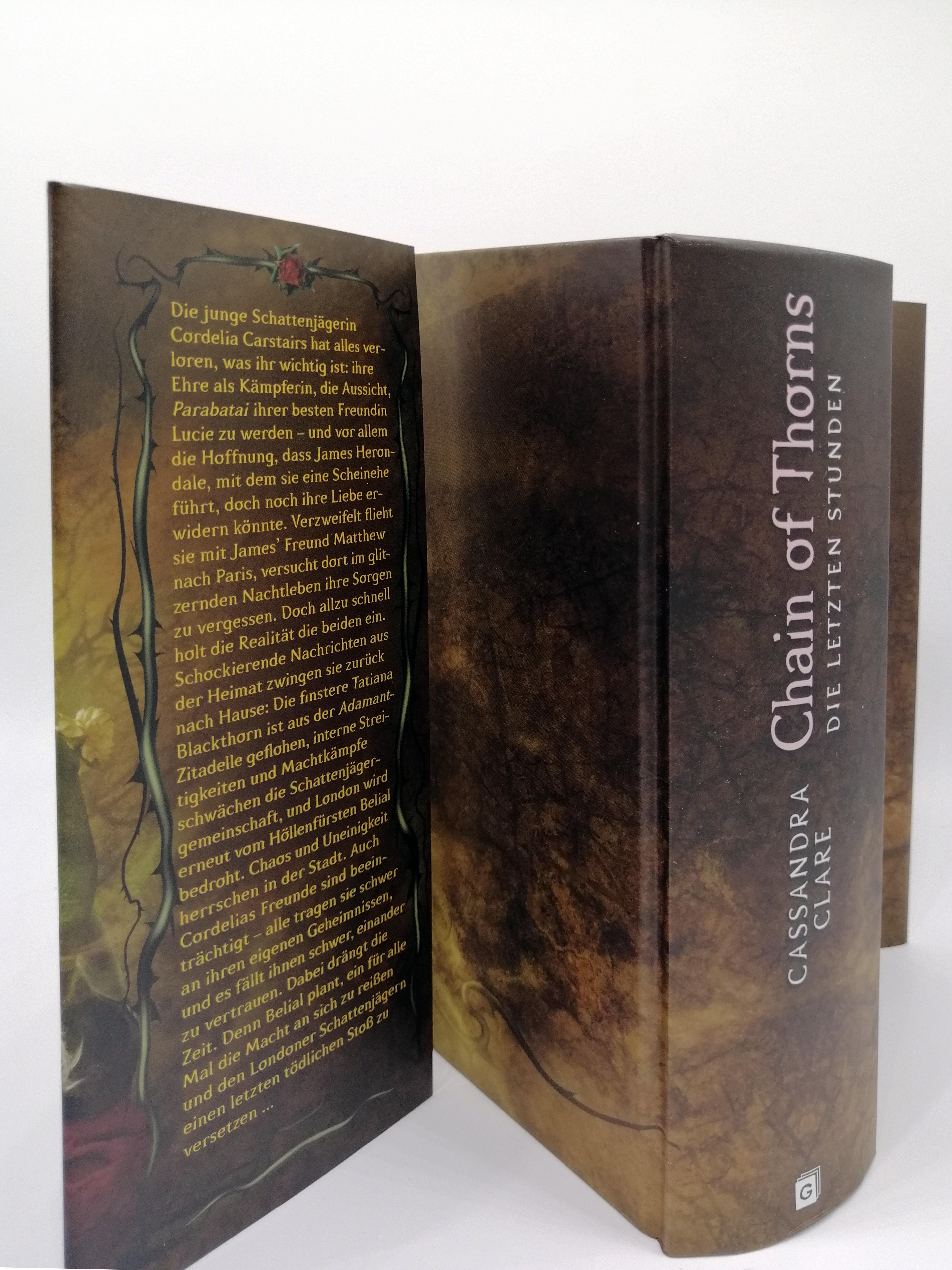 Beispielinhalt (Bild) Chain of Thorns