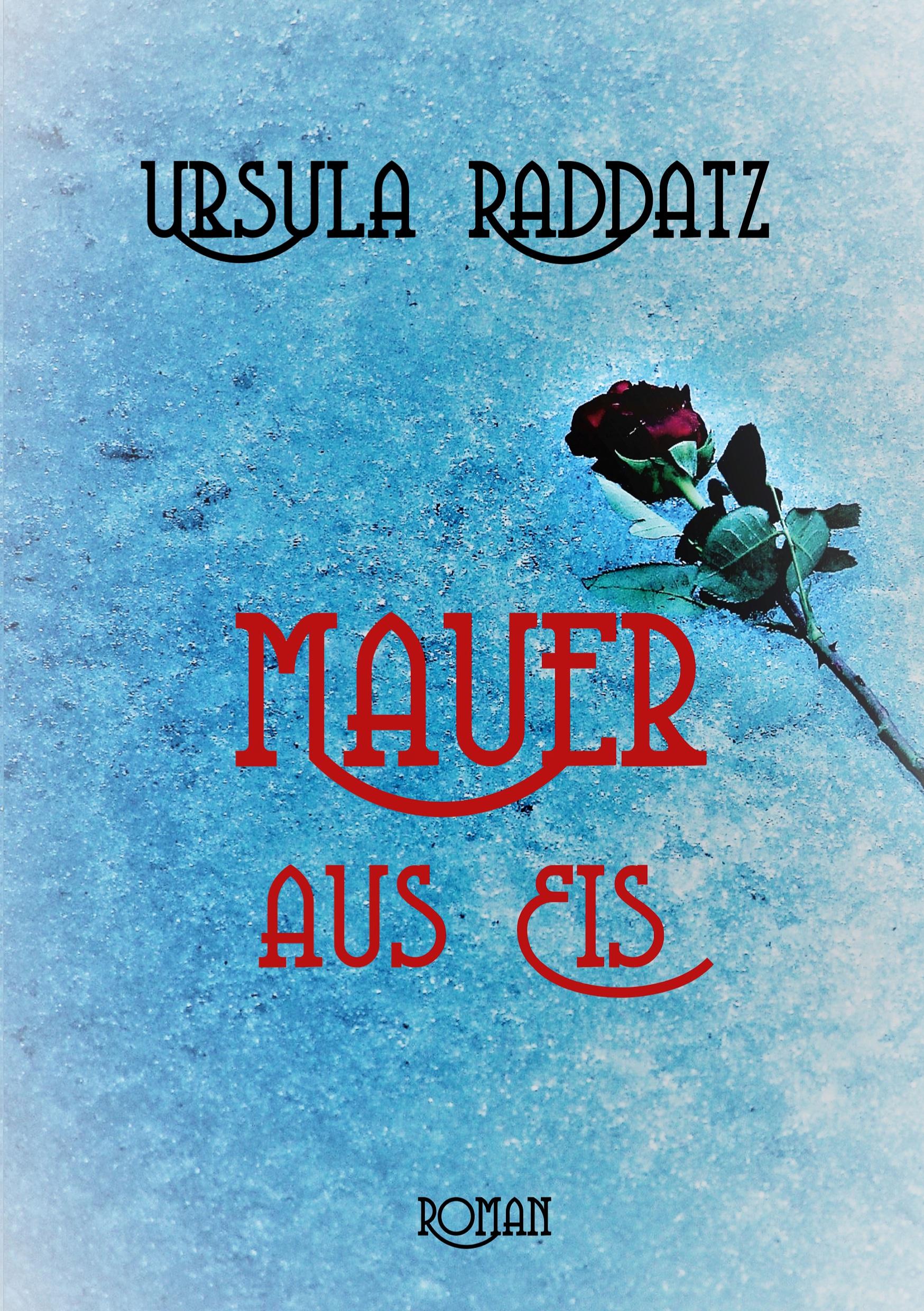 Vorderes Coverbild Mauer aus Eis
