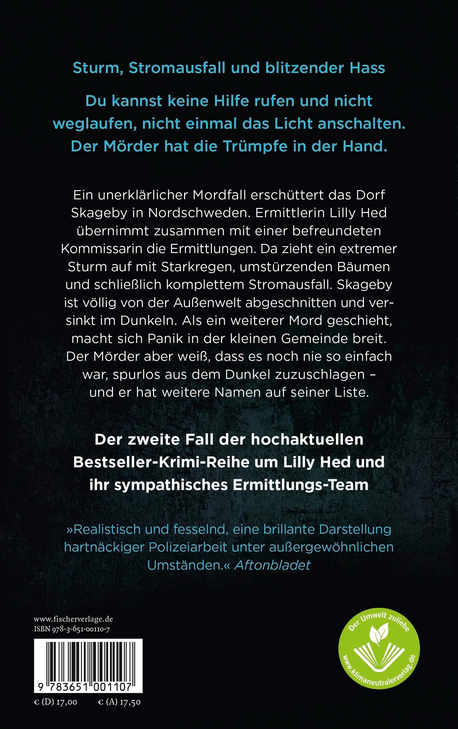 Rückseitencover Im Sturm
