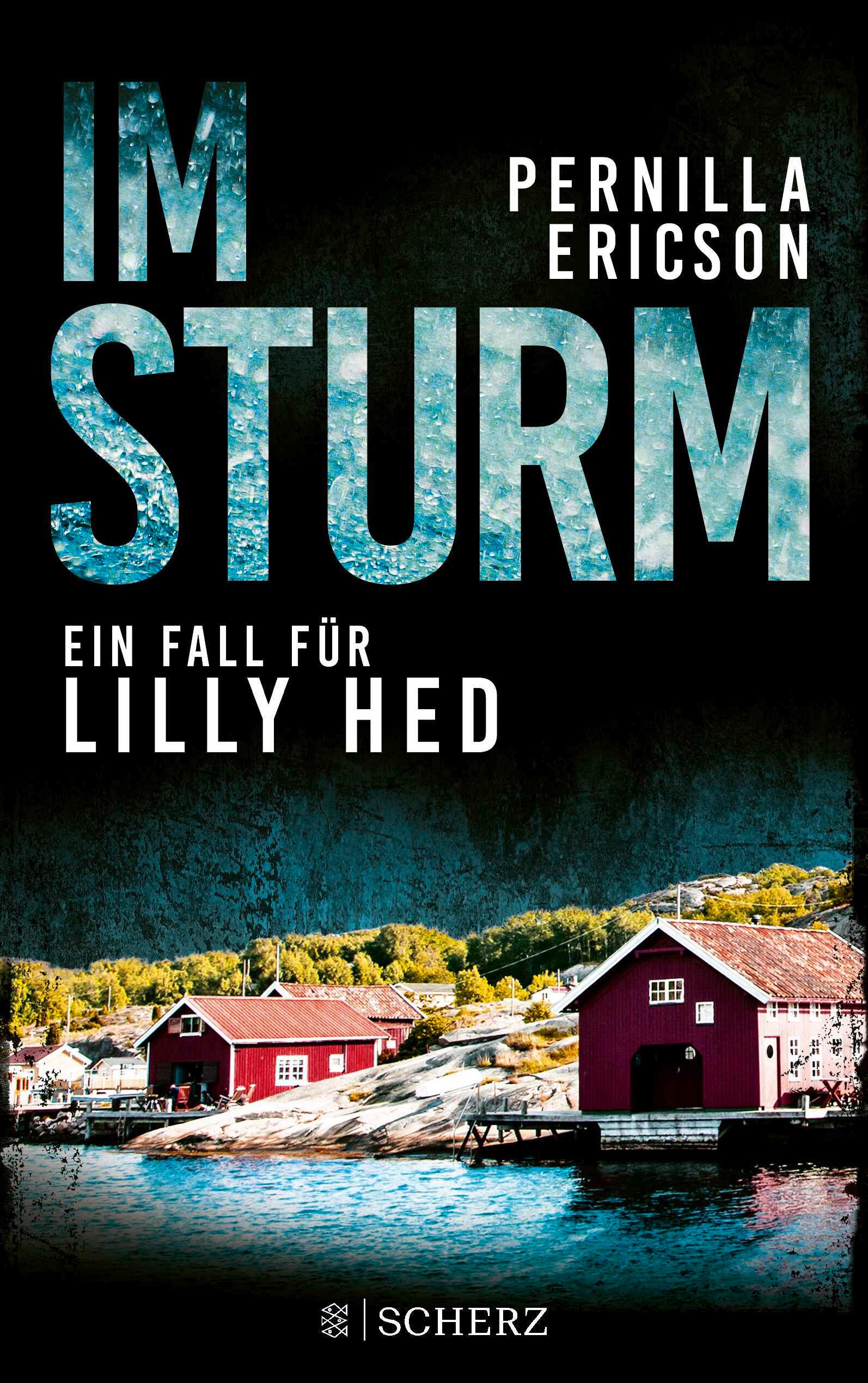 Vorderes Coverbild Im Sturm