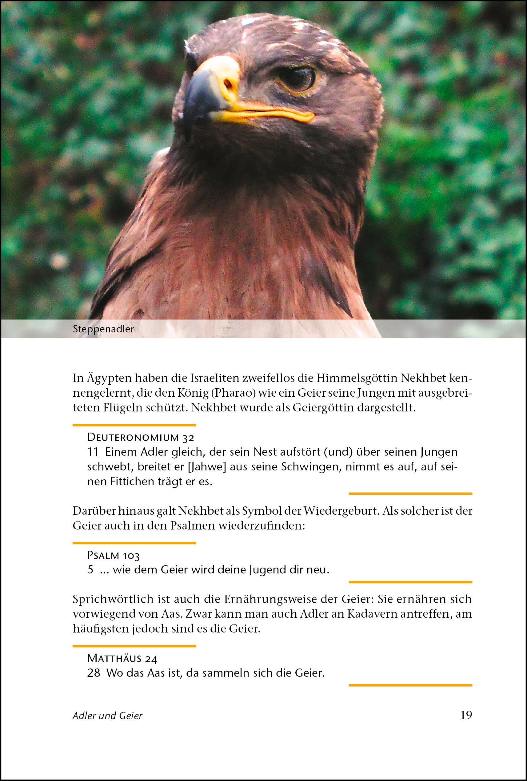 Beispielinhalt (Bild) ... und Gott schuf die Tiere