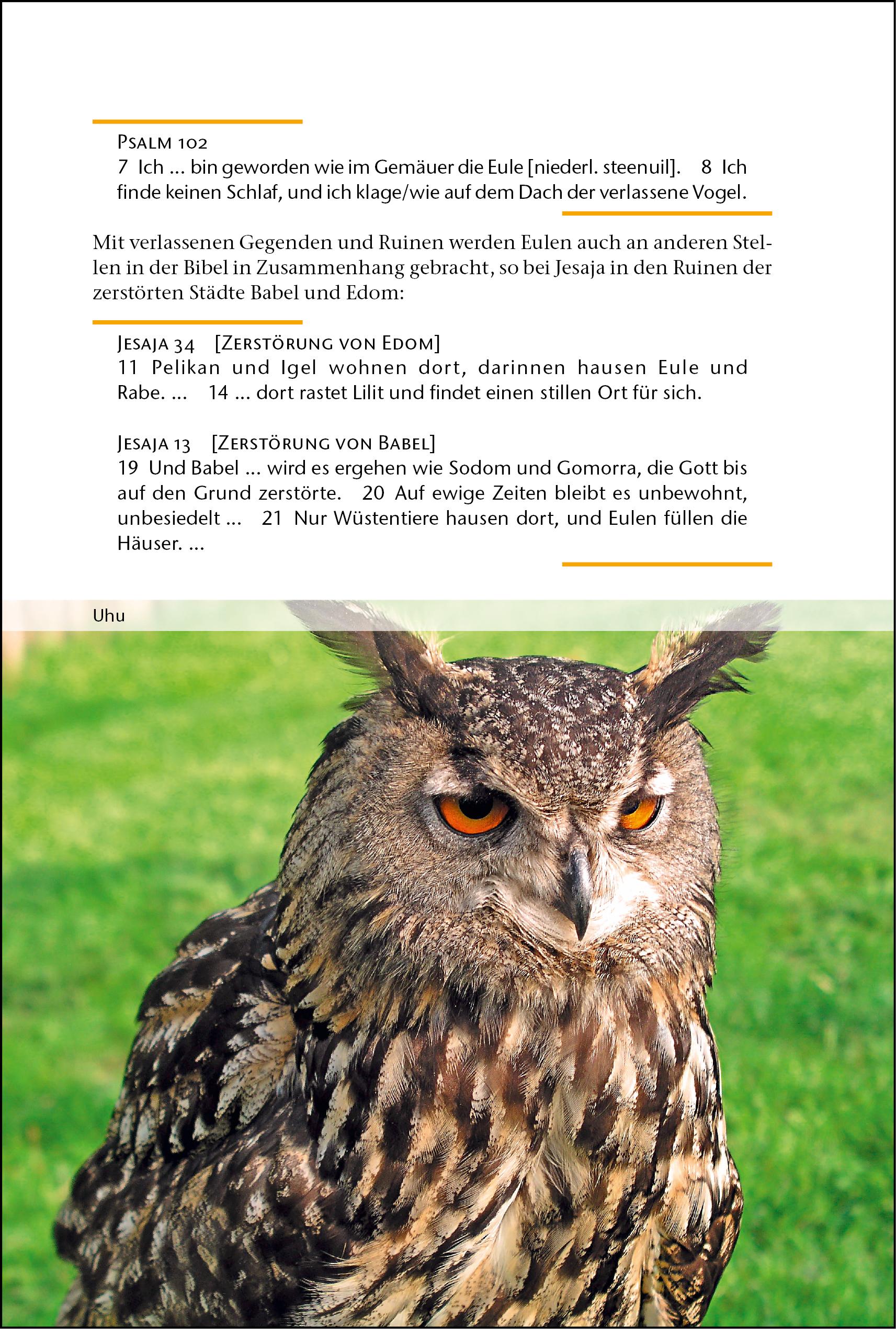 Beispielinhalt (Bild) ... und Gott schuf die Tiere