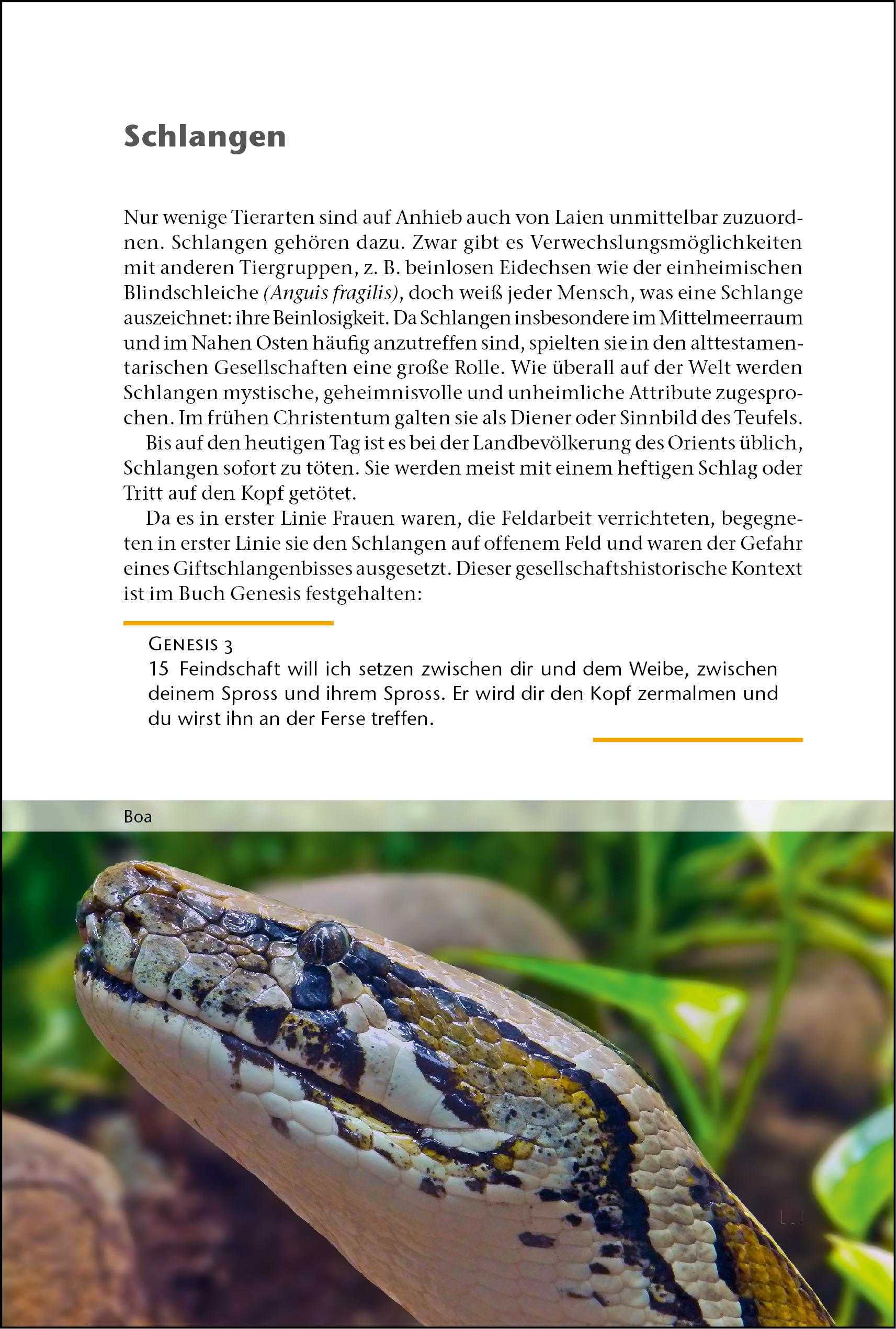 Beispielinhalt (Bild) ... und Gott schuf die Tiere