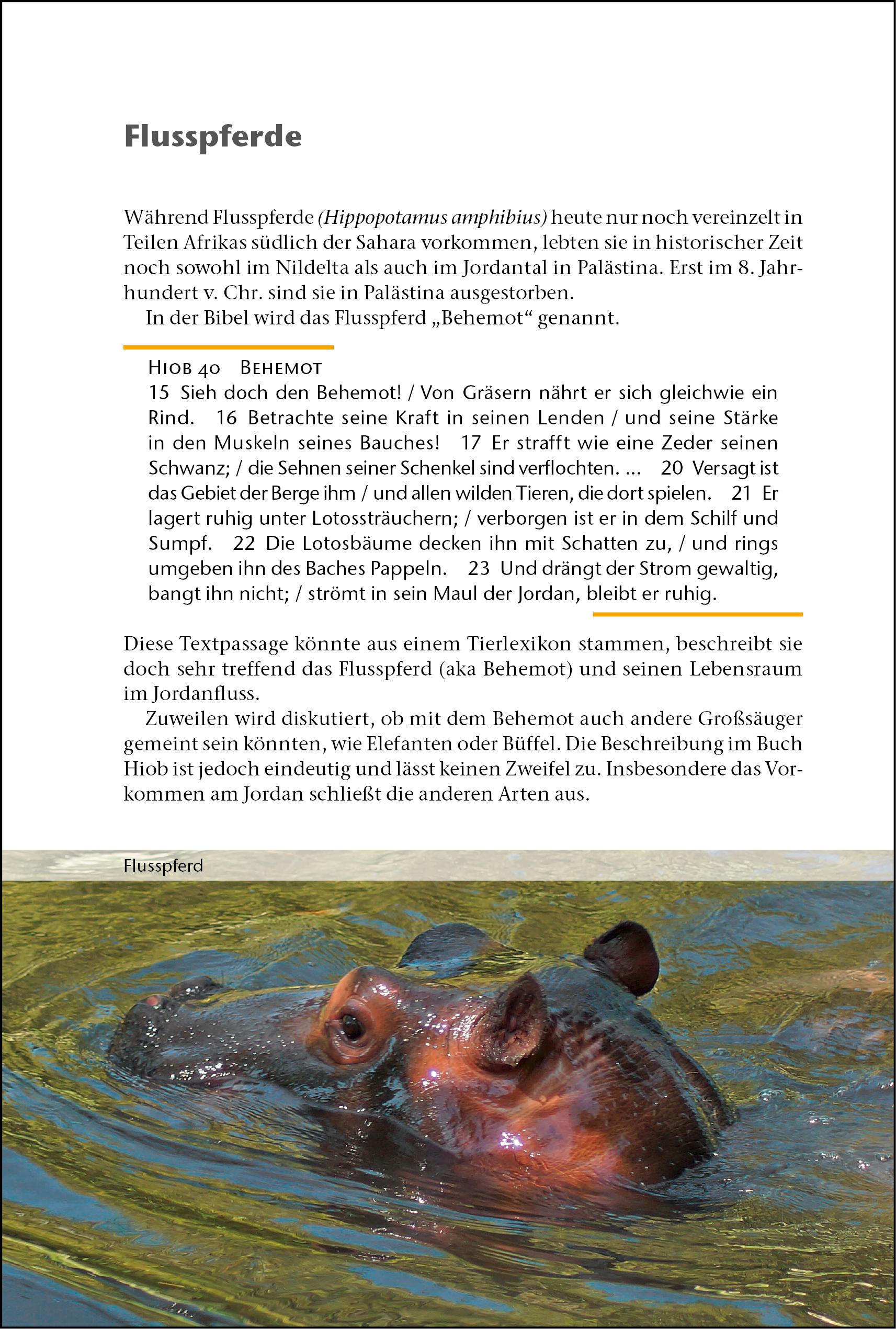 Beispielinhalt (Bild) ... und Gott schuf die Tiere