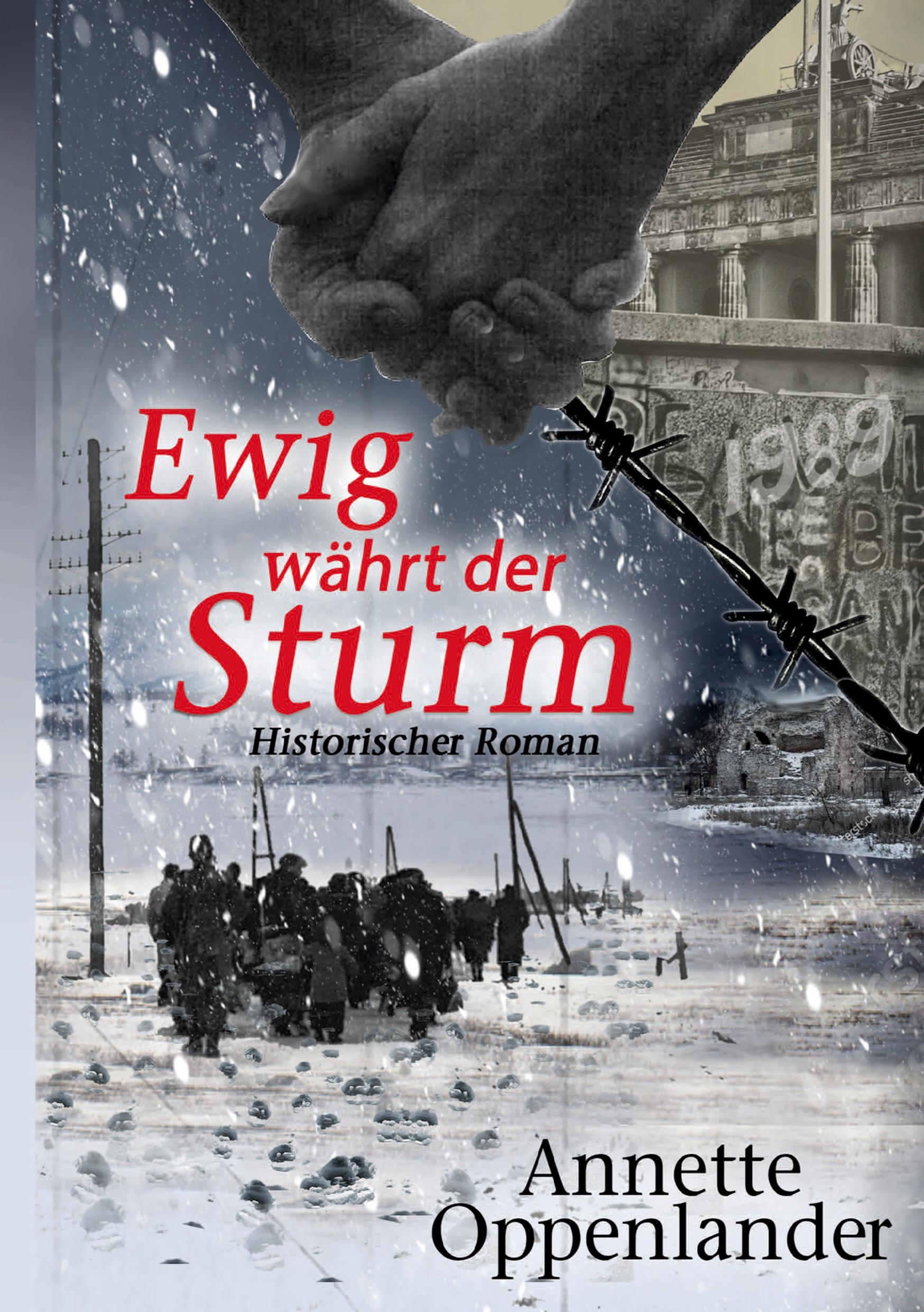Vorderes Coverbild Ewig währt der Sturm