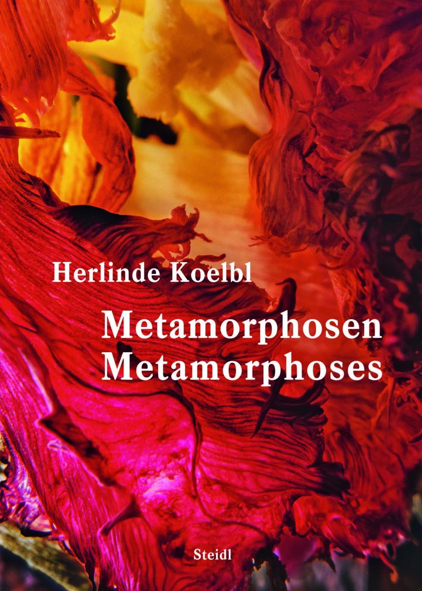 Vorderes Coverbild Metamorphosen / Metamorphoses