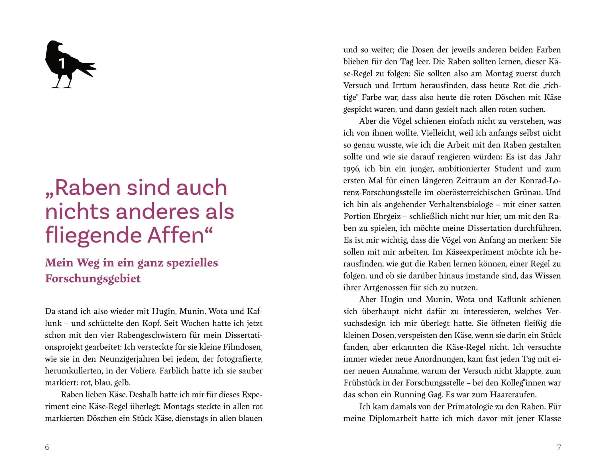 Beispielinhalt (Bild) Raben