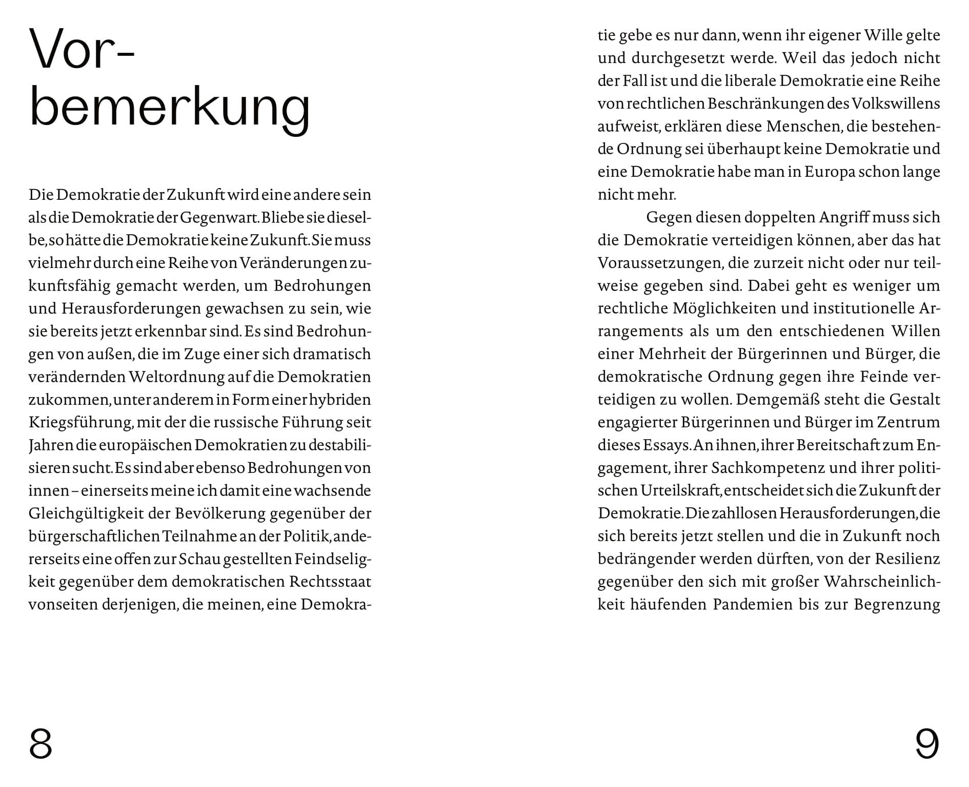 Beispielinhalt (Bild) Die Zukunft der Demokratie