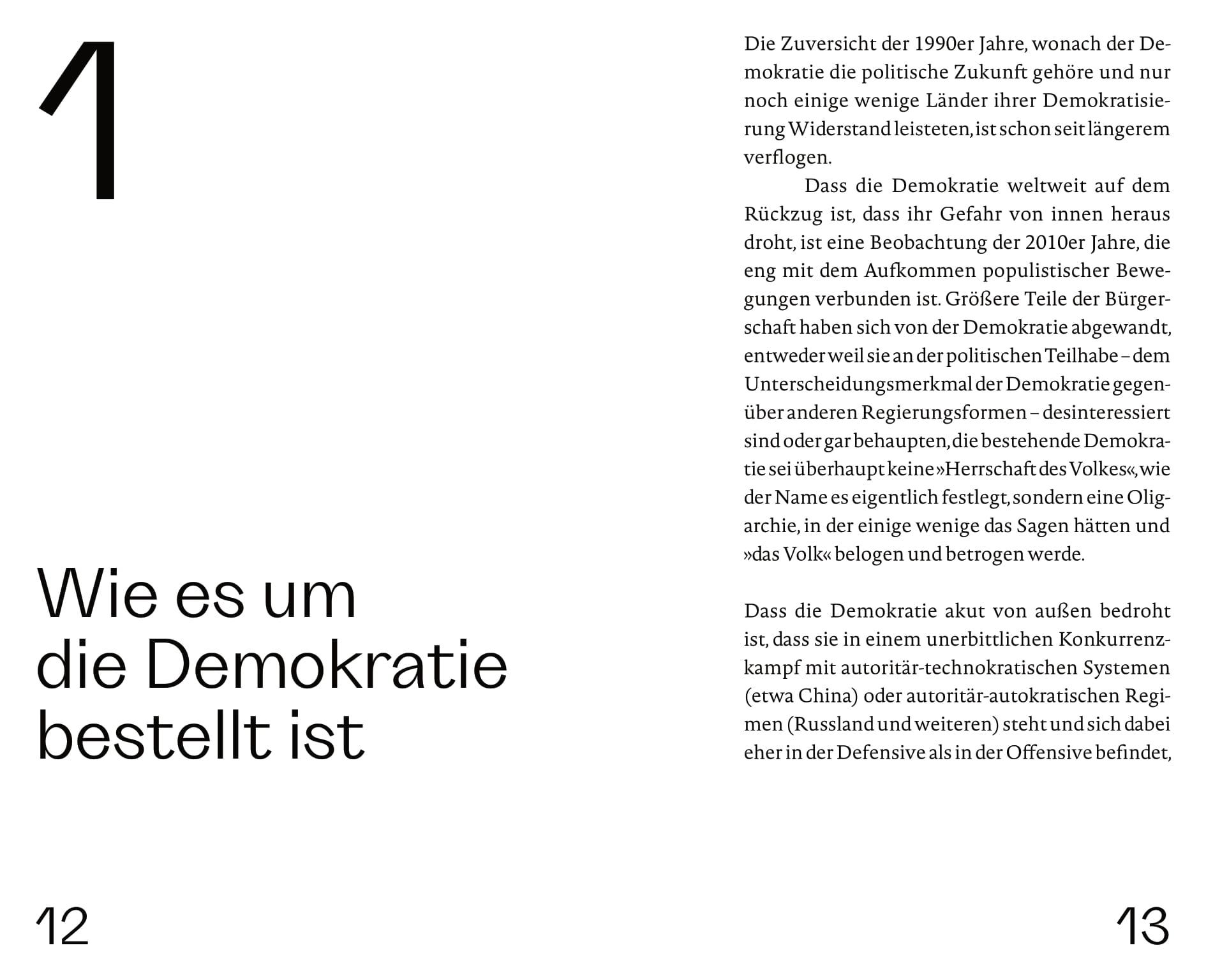Beispielinhalt (Bild) Die Zukunft der Demokratie