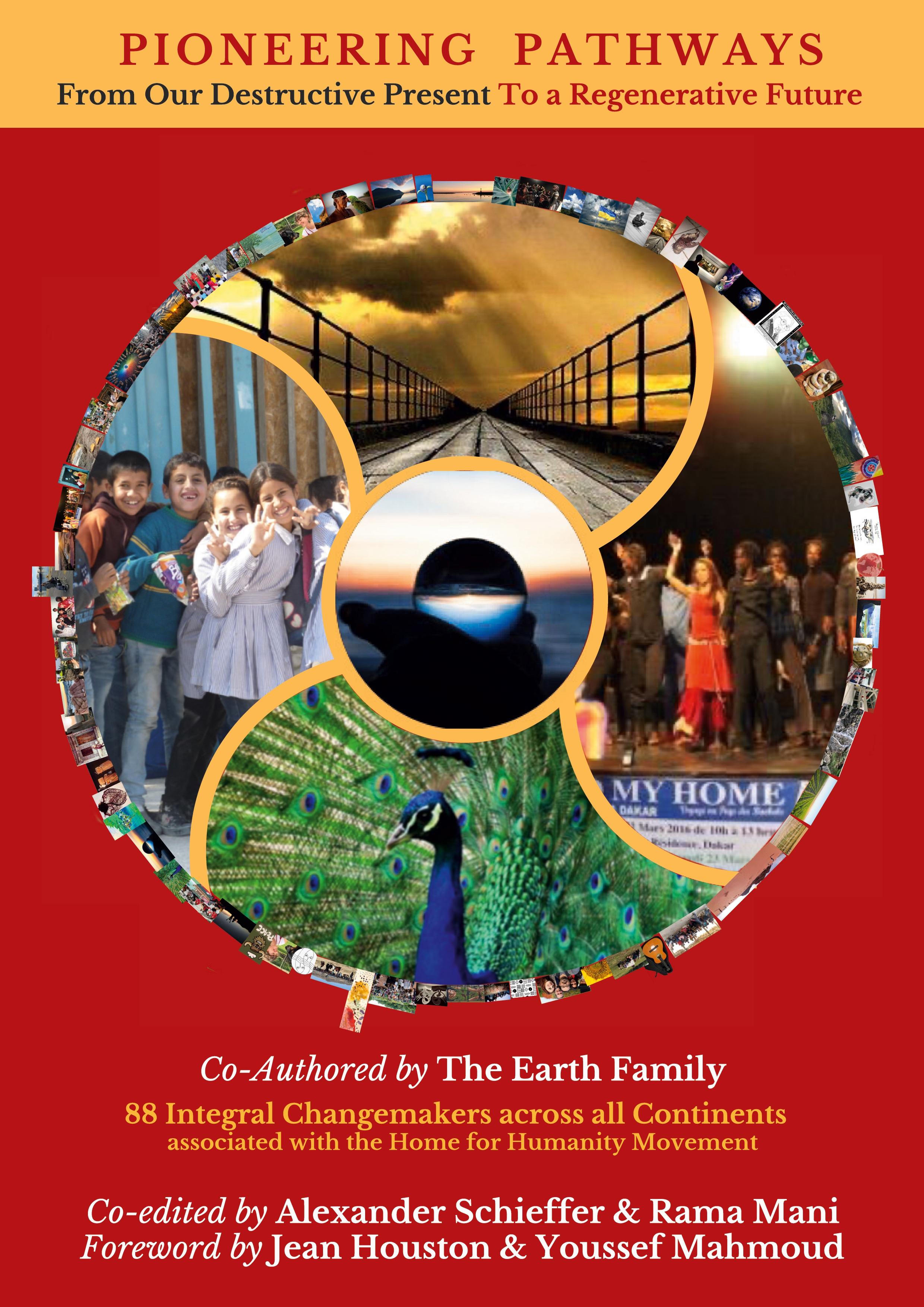 Vorderes Coverbild Pioneering Pathways
