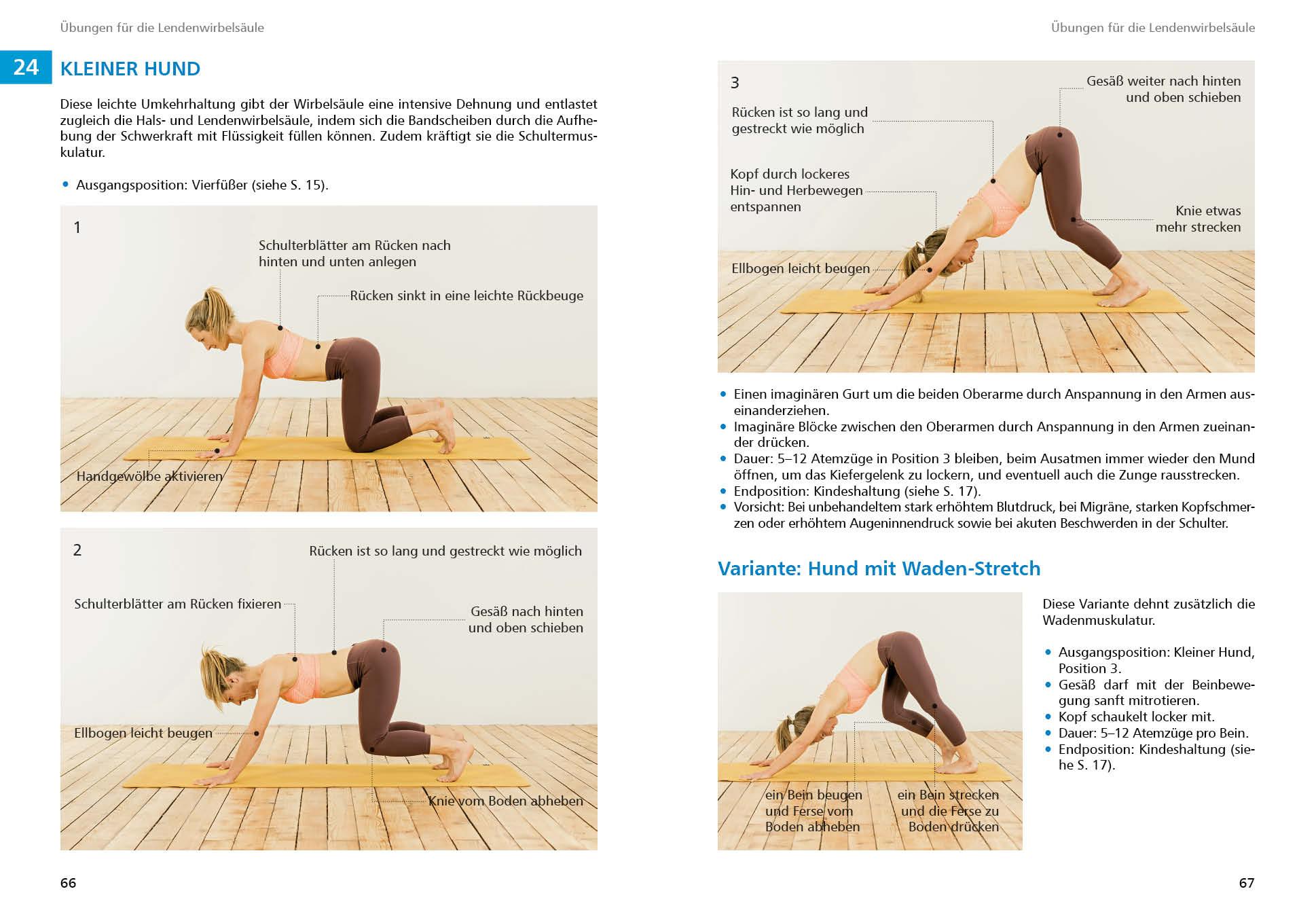 Beispielinhalt (Bild) Yoga für Kletterer und Bergsportler