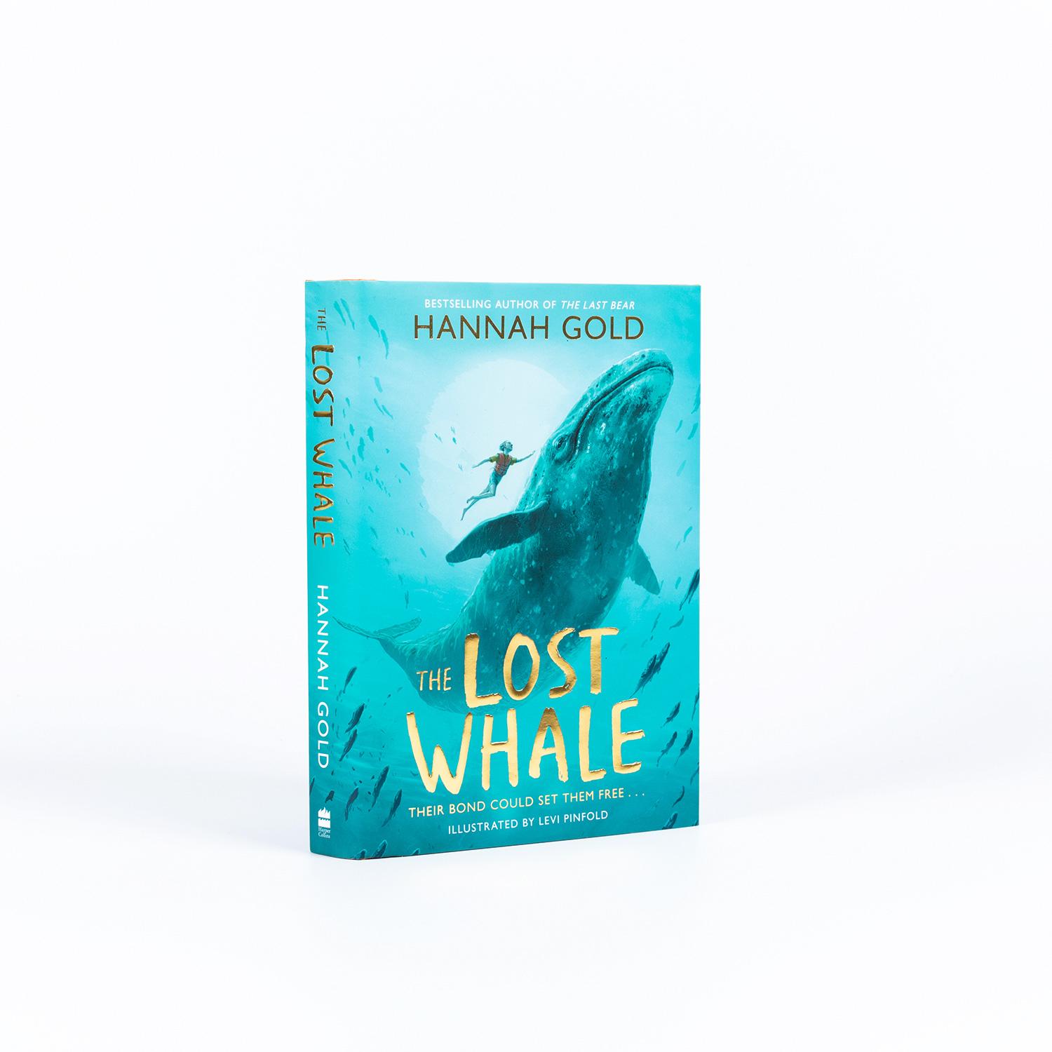 Beispielinhalt (Bild) The Lost Whale