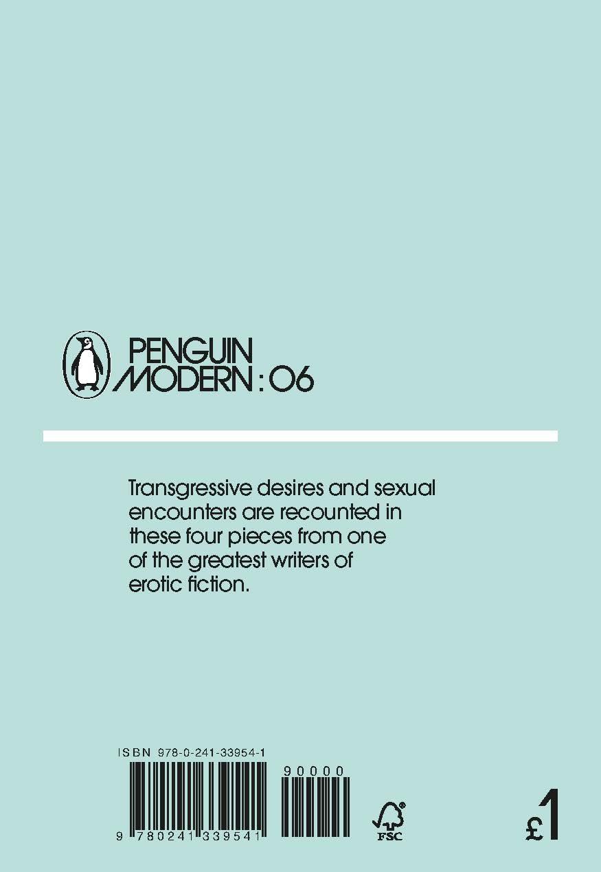 Rückseitencover The Veiled Woman