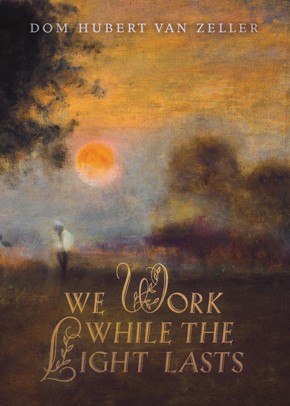 Vorderes Coverbild We Work While the Light Lasts