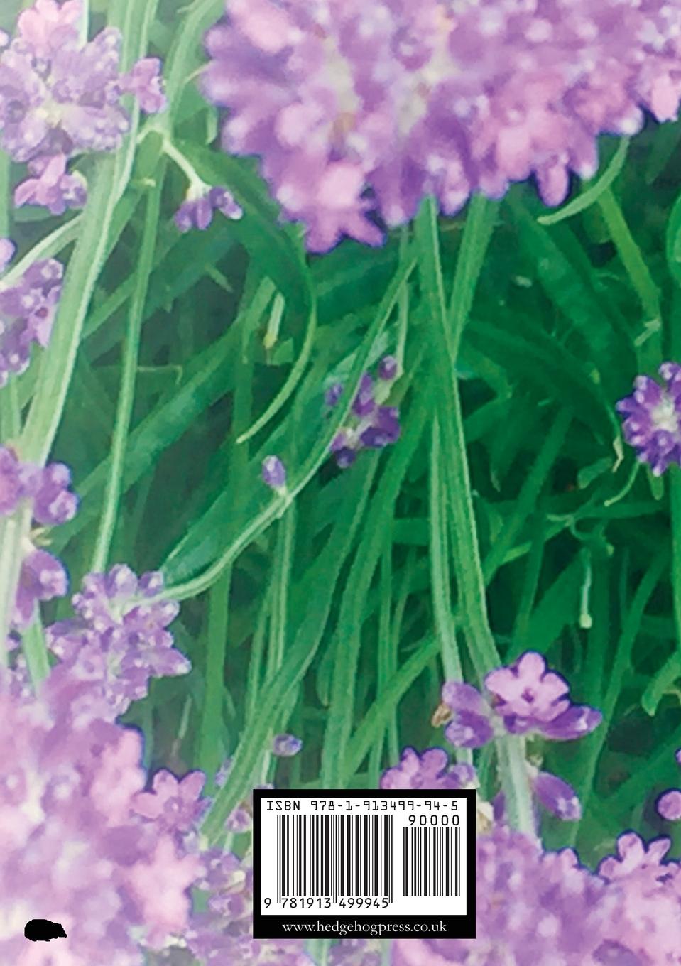 Rückseitencover Symbiosis