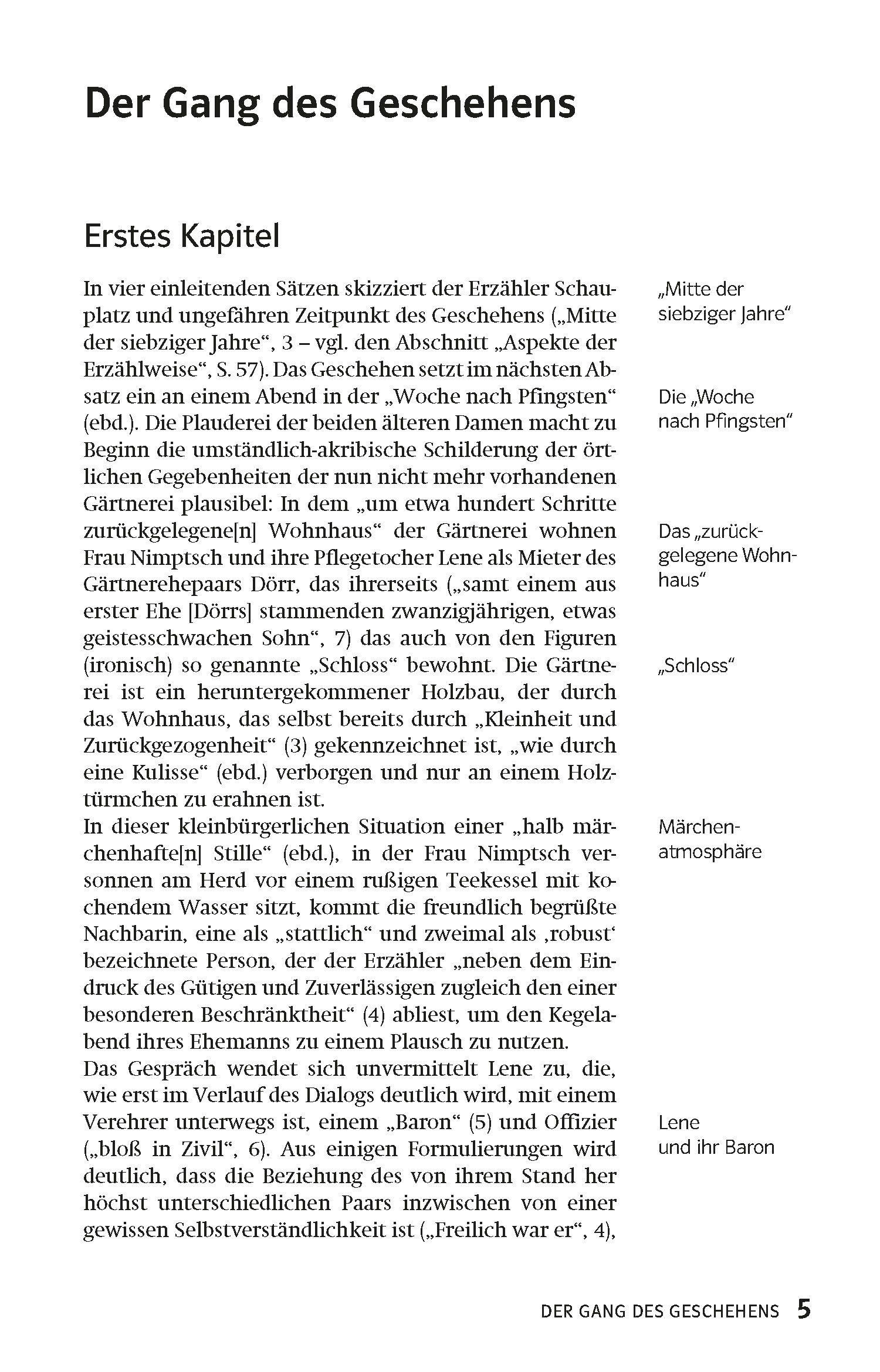 Beispielinhalt (Bild) Lektürehilfen Irrungen, Wirrungen