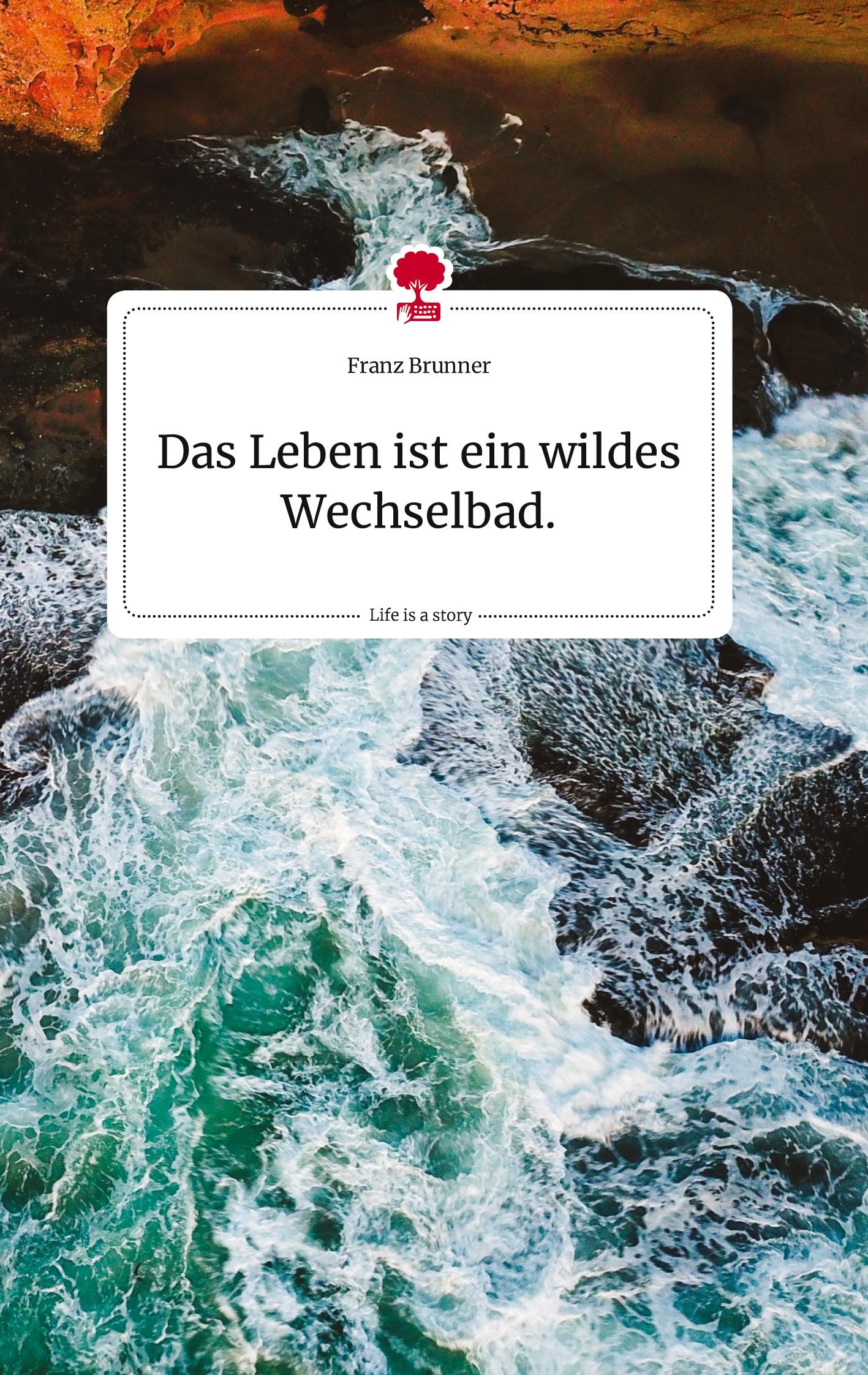 Vorderes Coverbild Das Leben ist ein wildes Wechselbad. Life is a Story - story.one