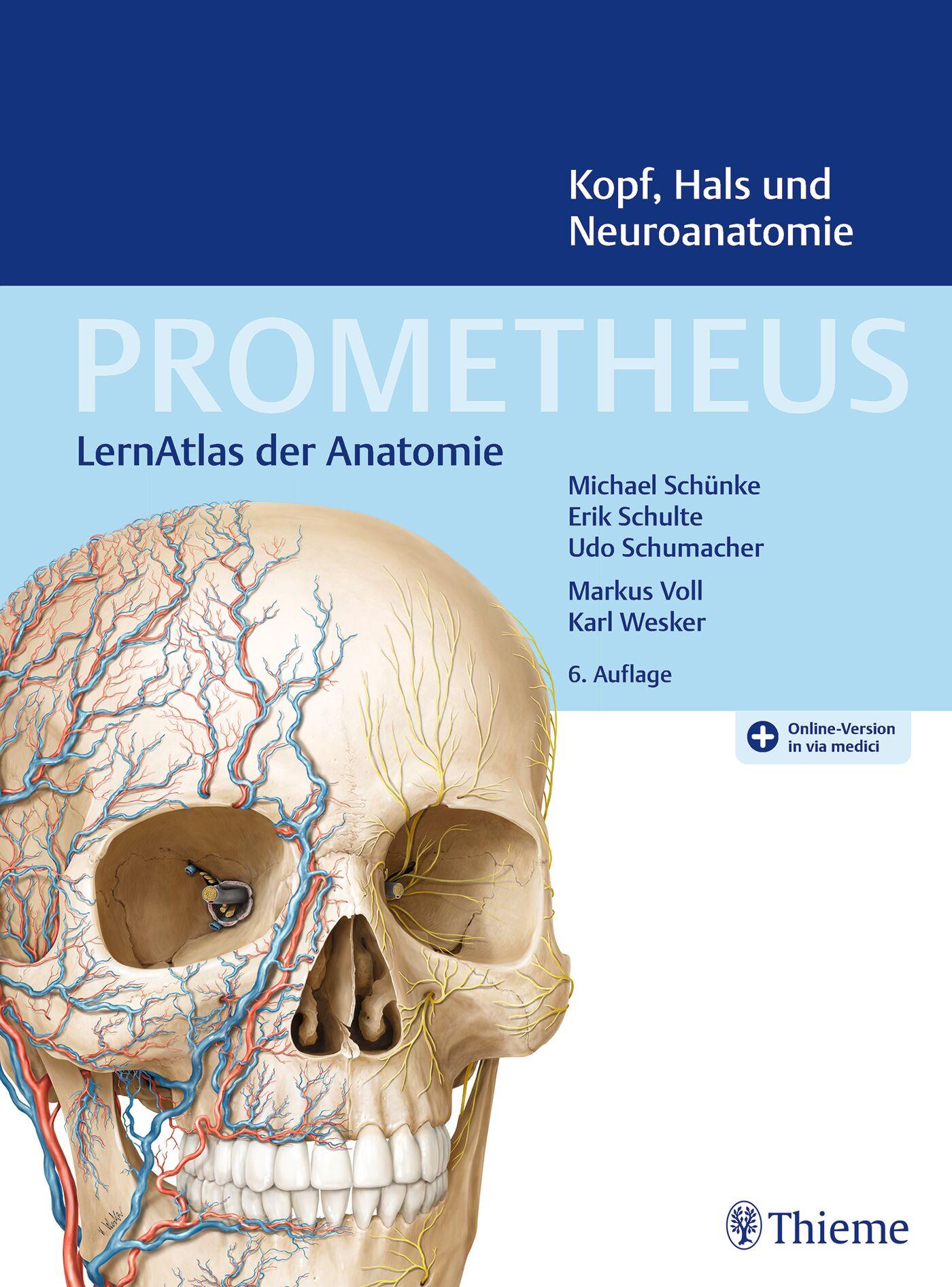 Vorderes Coverbild PROMETHEUS Kopf, Hals und Neuroanatomie