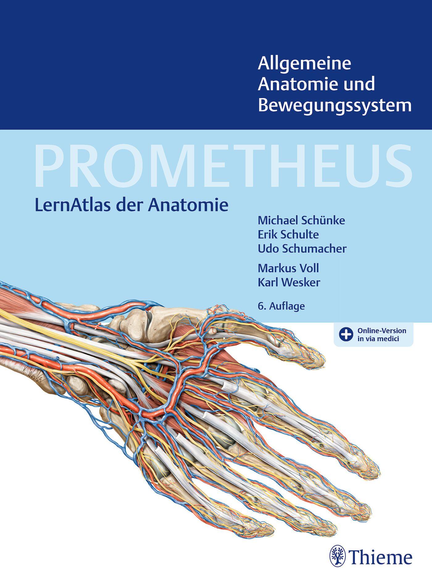 Vorderes Coverbild PROMETHEUS Allgemeine Anatomie und Bewegungssystem