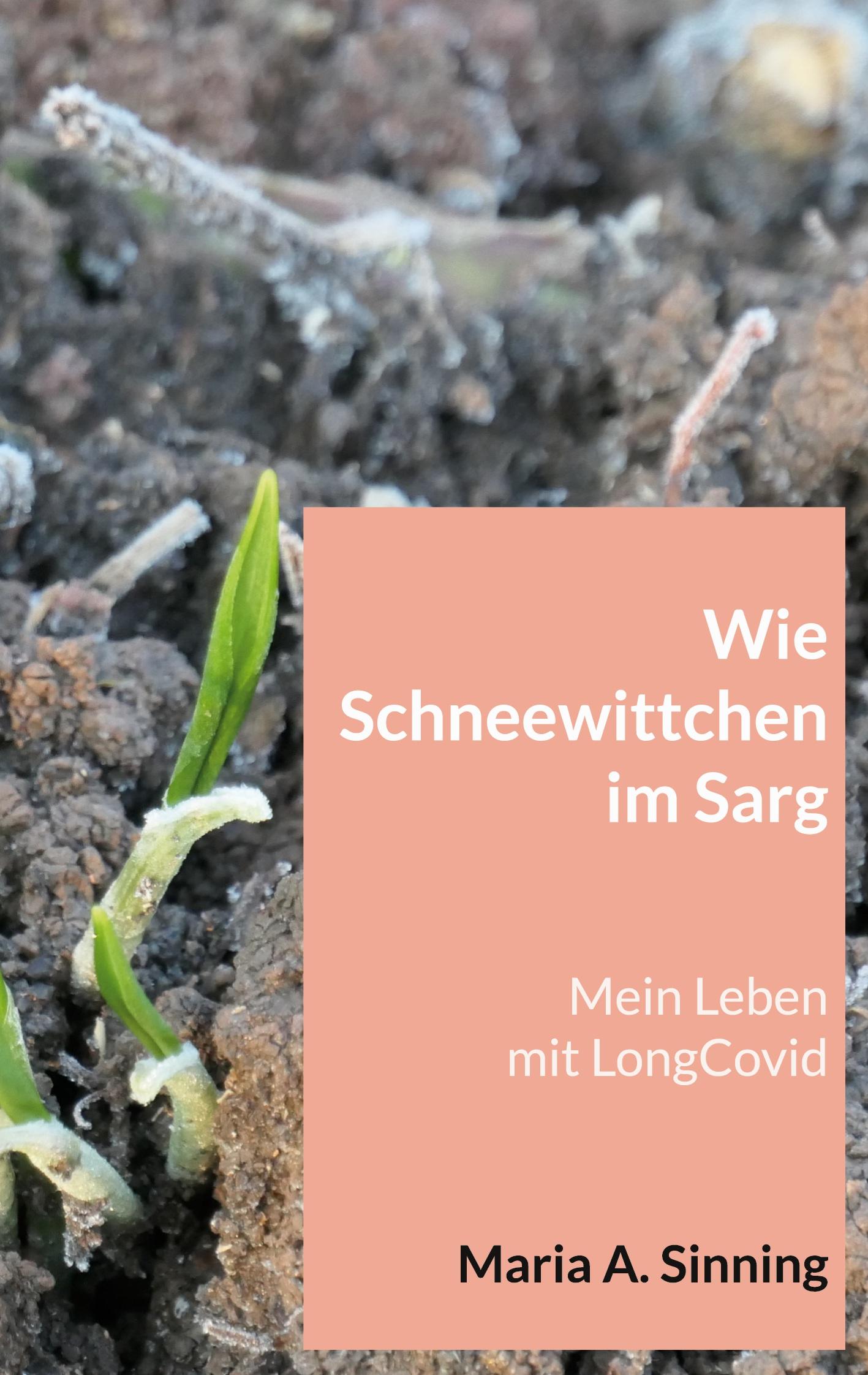Vorderes Coverbild Wie Schneewittchen im Sarg