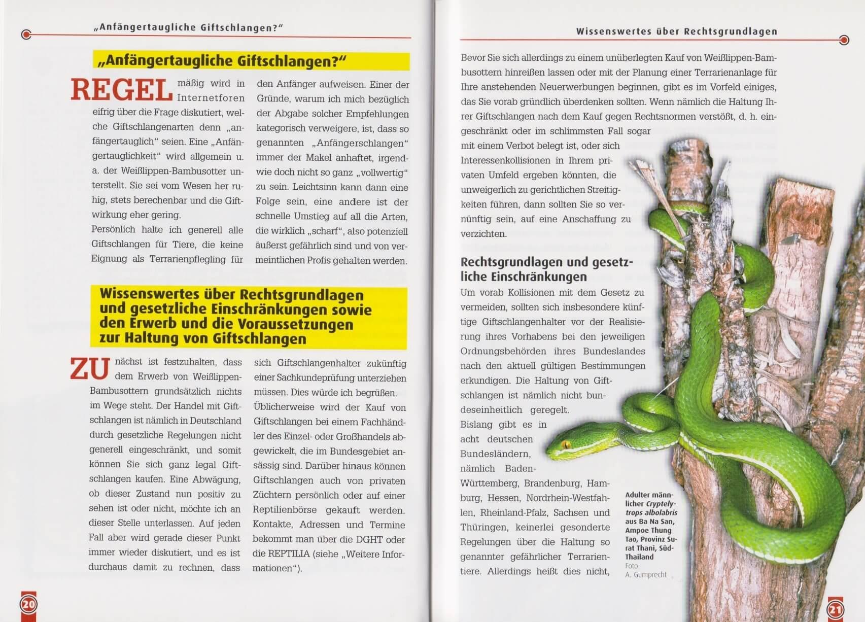 Beispielinhalt (Bild) Die Weißlippen-Bambusotter