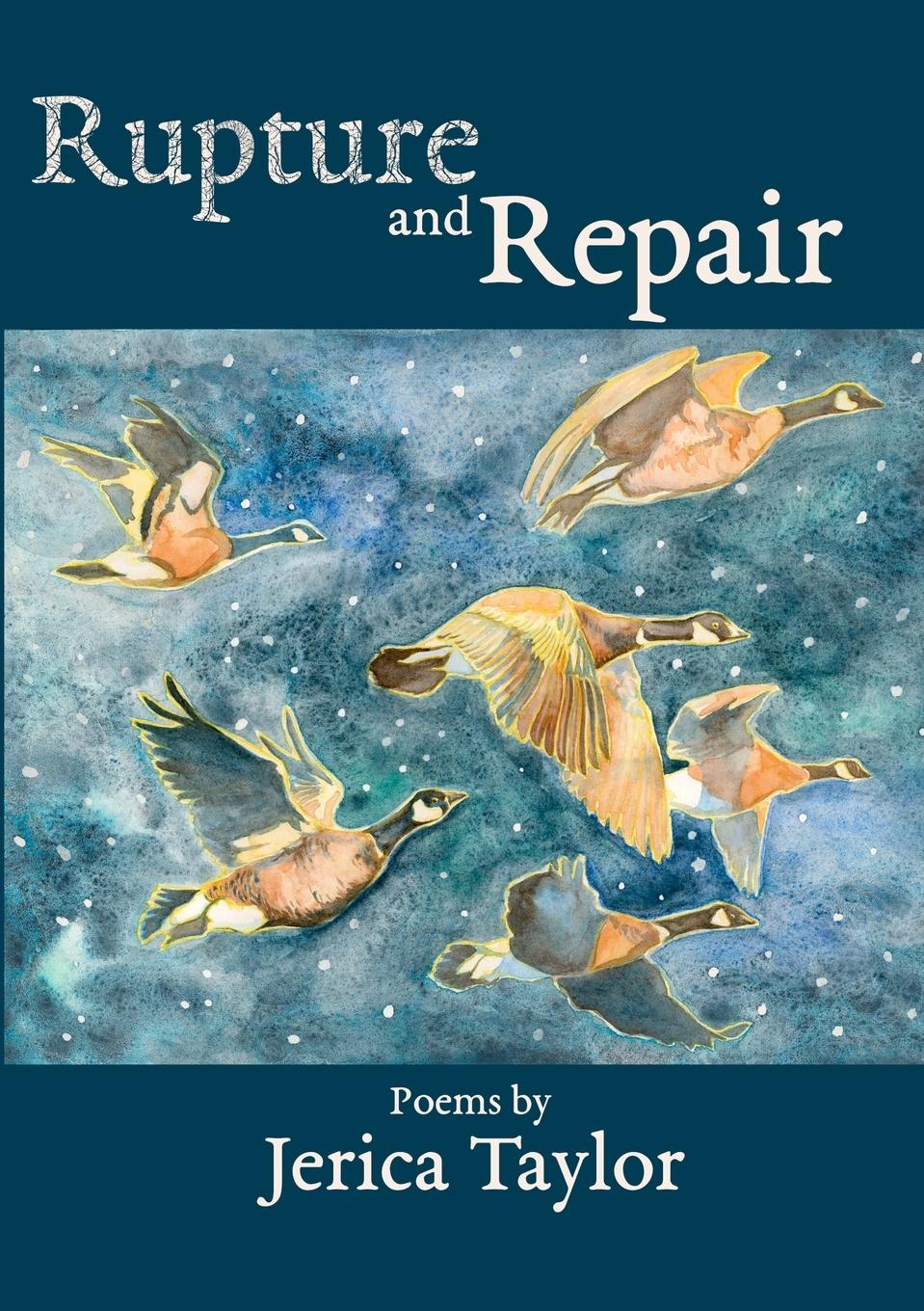 Vorderes Coverbild Rupture and Repair