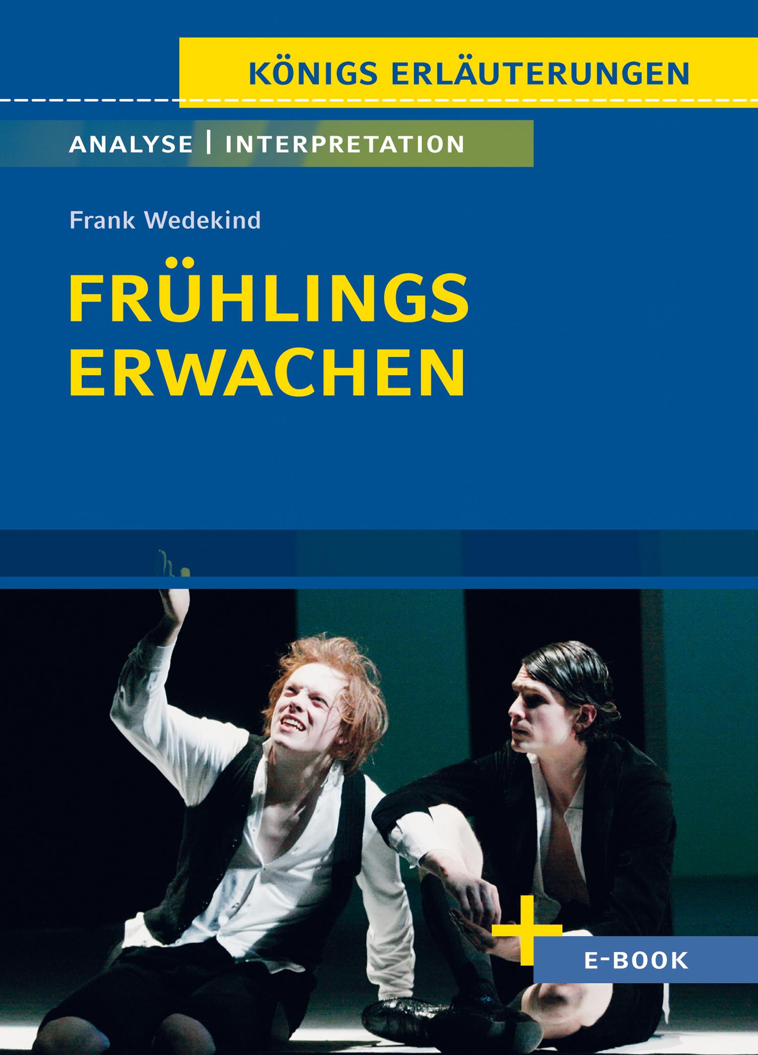 Vorderes Coverbild Frühlings Erwachen - Textanalyse und Interpretation