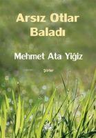 Vorderes Coverbild Arsiz Otlar Baladi