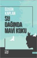 Vorderes Coverbild Su Daginda Mavi Koku