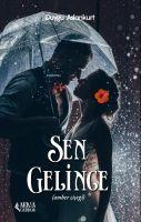 Vorderes Coverbild Sen gelince Amber Cicegi