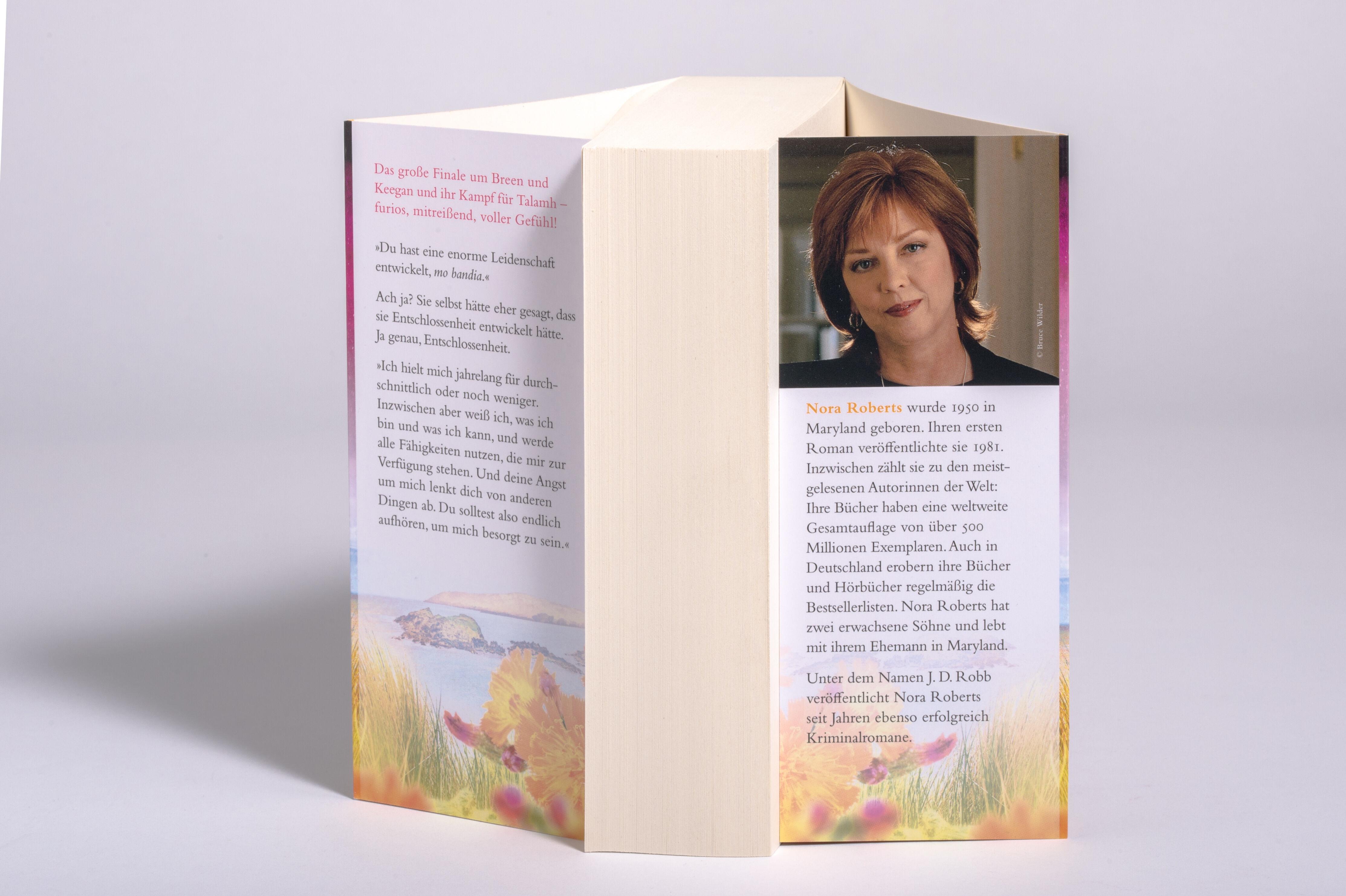 Beispielinhalt (Bild) Sonnenblüte