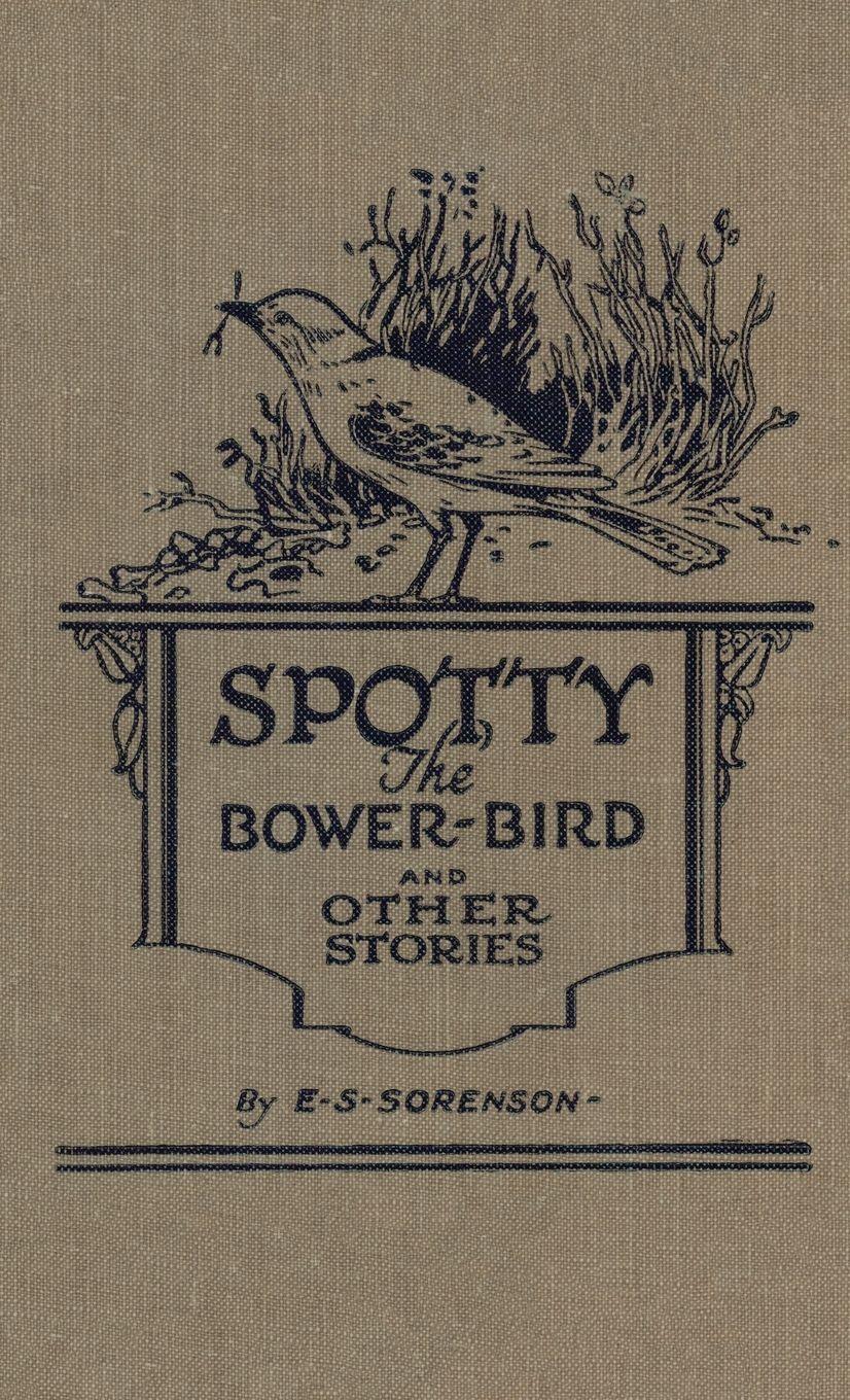 Vorderes Coverbild Spotty the Bower Bird