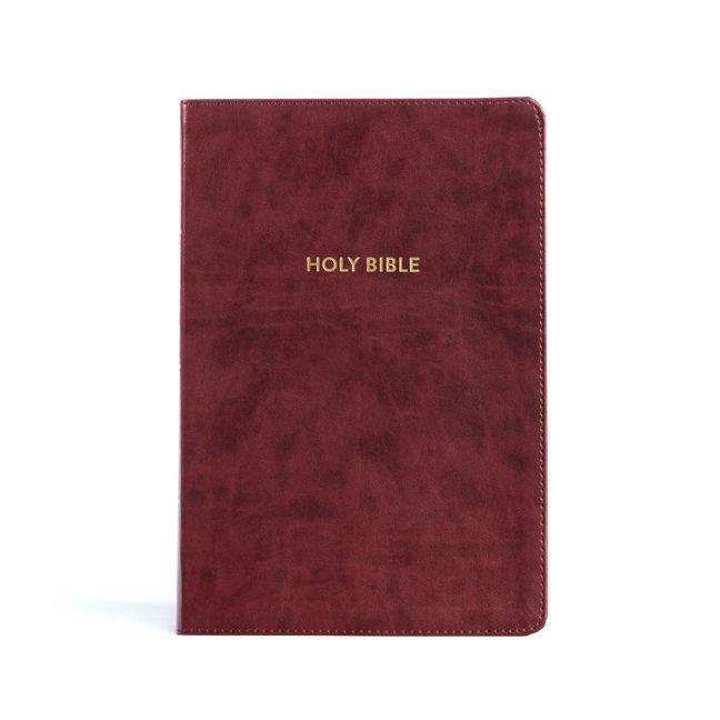 Vorderes Coverbild KJV Rainbow Study Bible, Burgundy Leathertouch