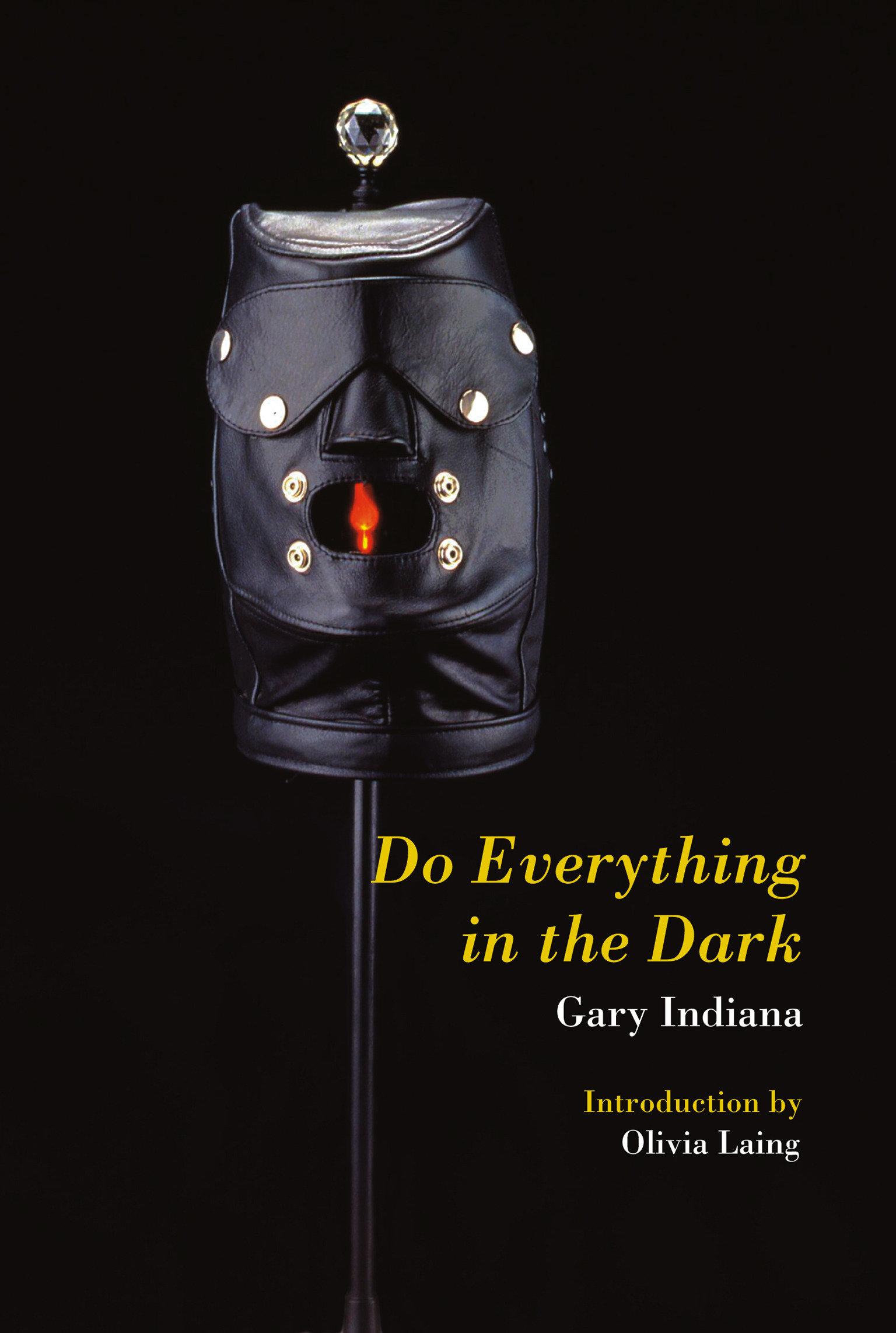 Vorderes Coverbild Do Everything in the Dark
