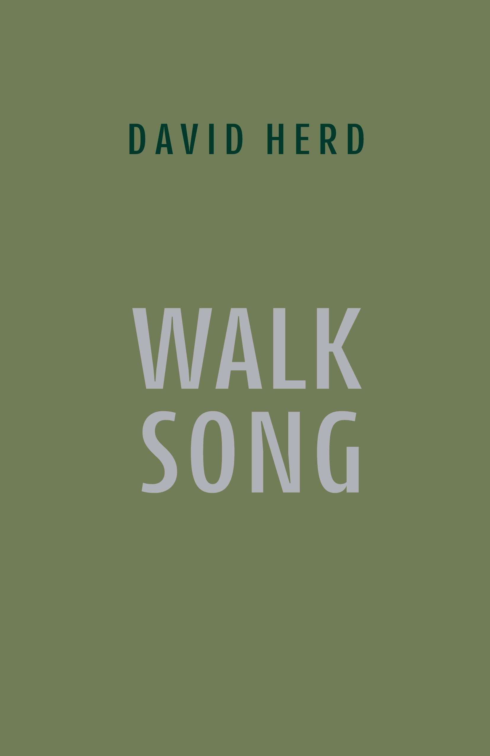 Vorderes Coverbild Walk Song