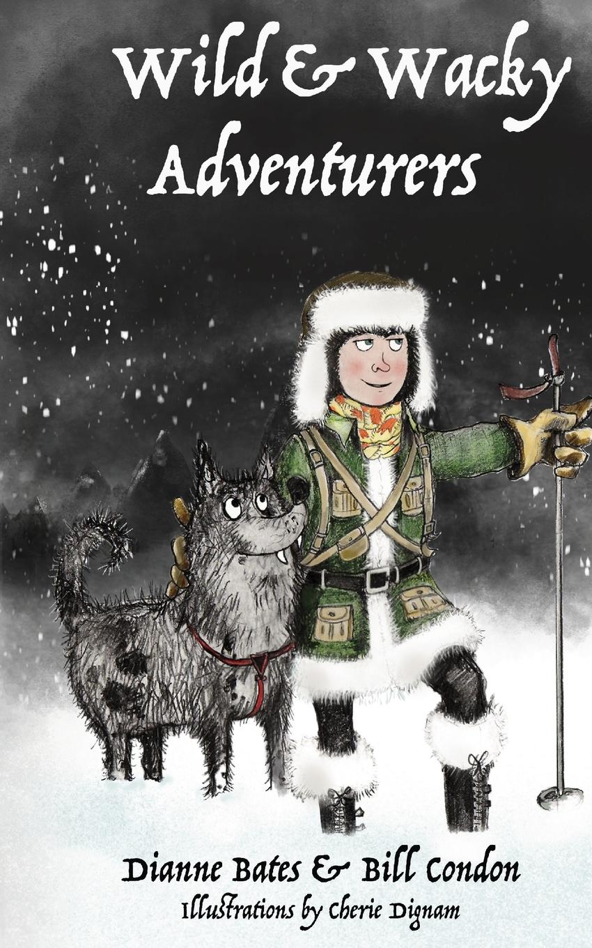 Vorderes Coverbild Wild & Wacky Adventurers