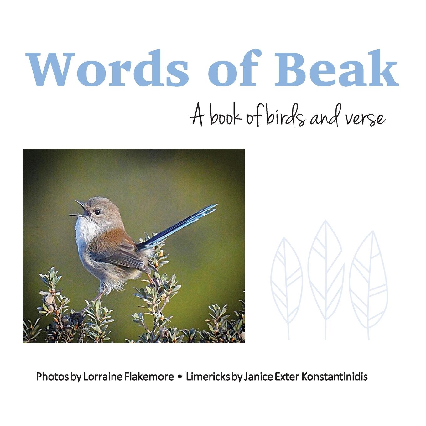 Vorderes Coverbild Words of Beak