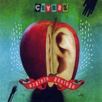 Vorderes Coverbild Ceyrek Ezginin Günlügü 25. Yil Albümü