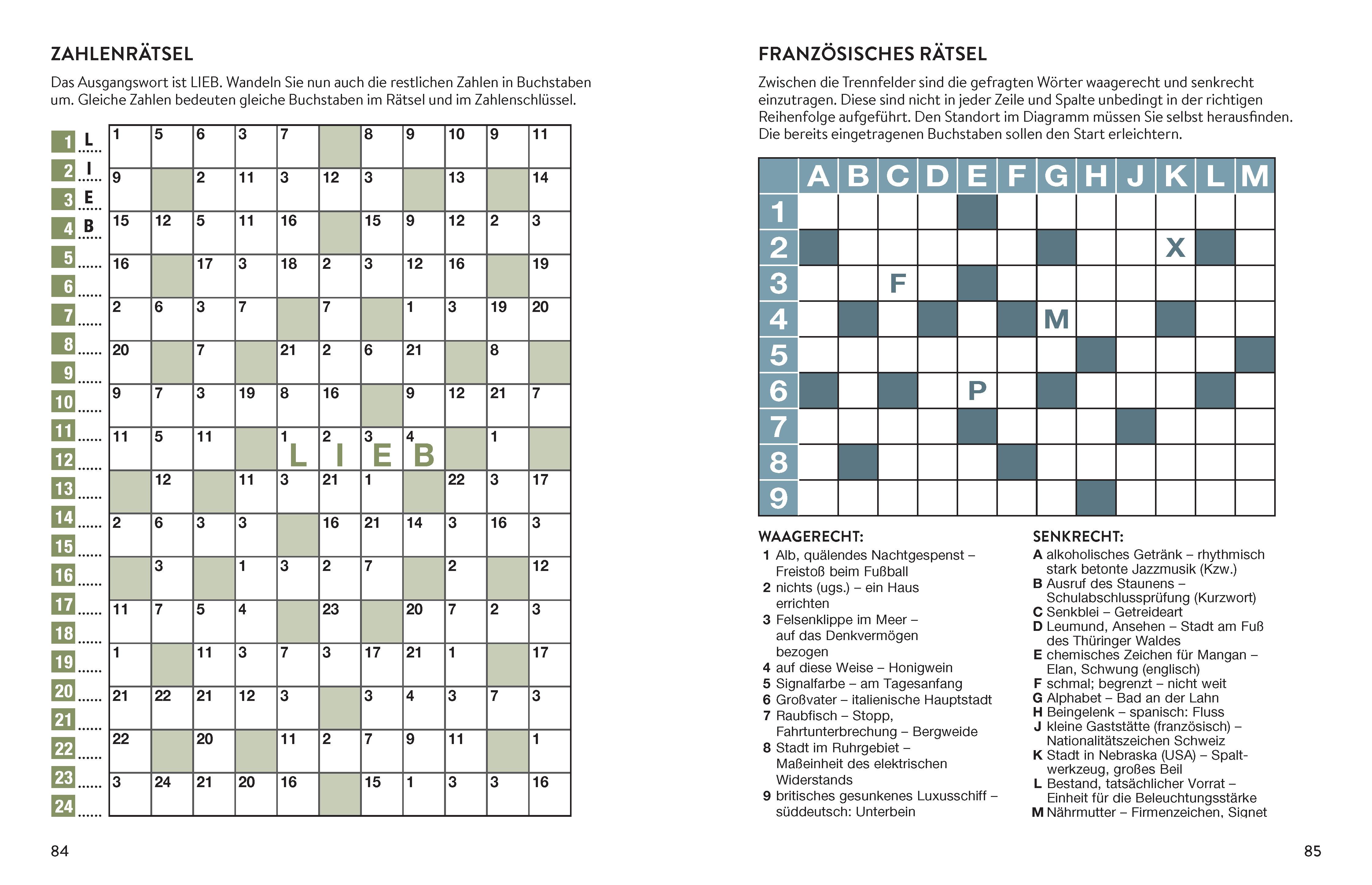Beispielinhalt (Bild) Mega-Rätsel Großdruck. Bunter Rätselmix in Großschrift