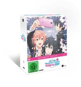Vorderes Coverbild My Teen Romantic Comedy SNAFU Climax!