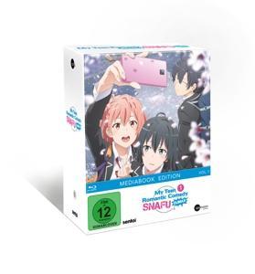 Vorderes Coverbild My Teen Romantic Comedy SNAFU Climax!