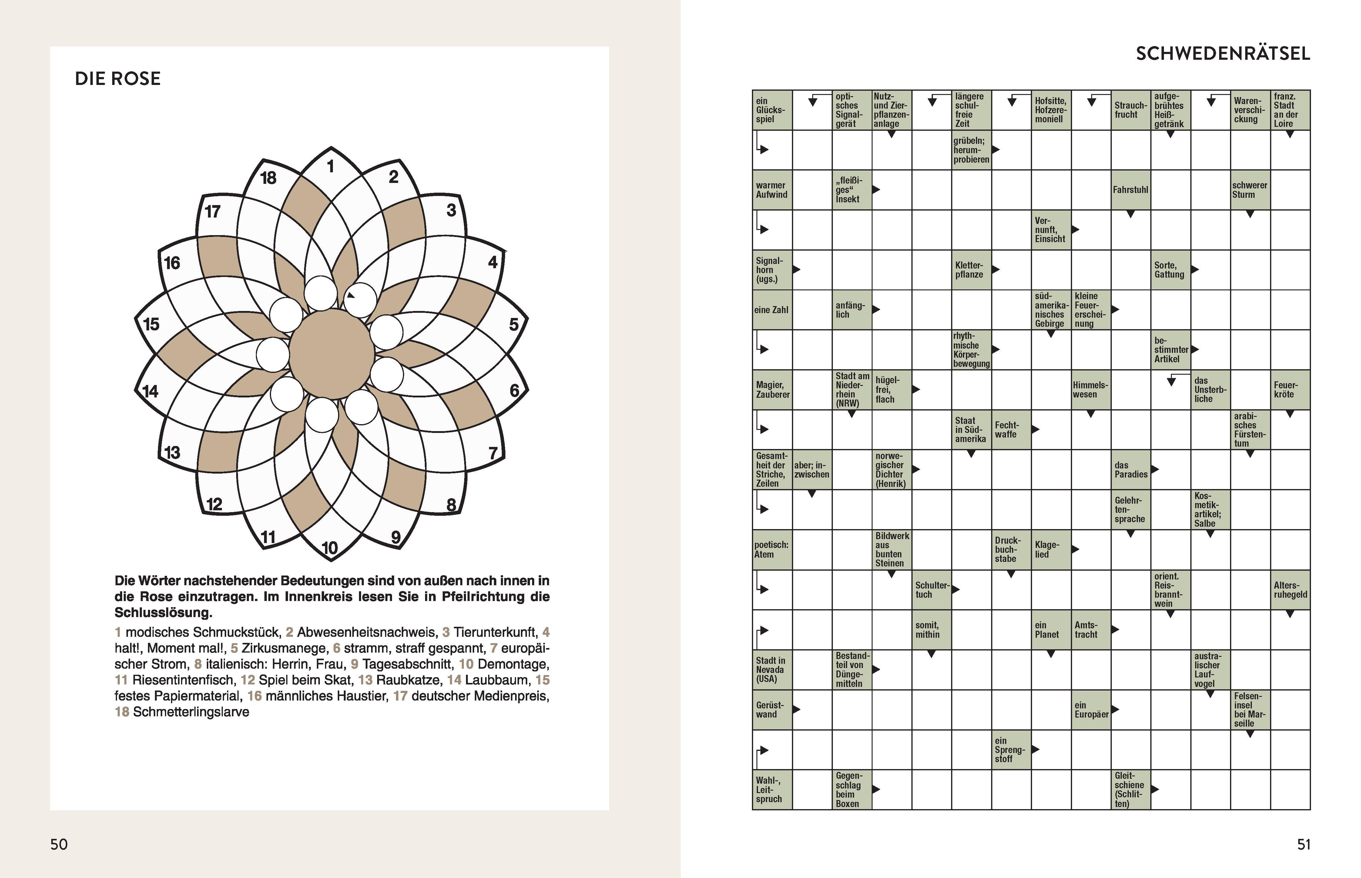 Beispielinhalt (Bild) Rätselbuch für clevere Köpfe. Bunter Rätselmix für Erwachsene