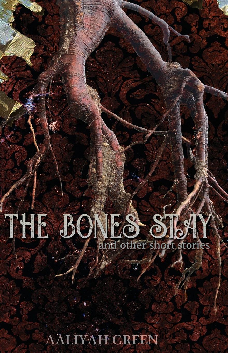 Vorderes Coverbild The Bones Stay