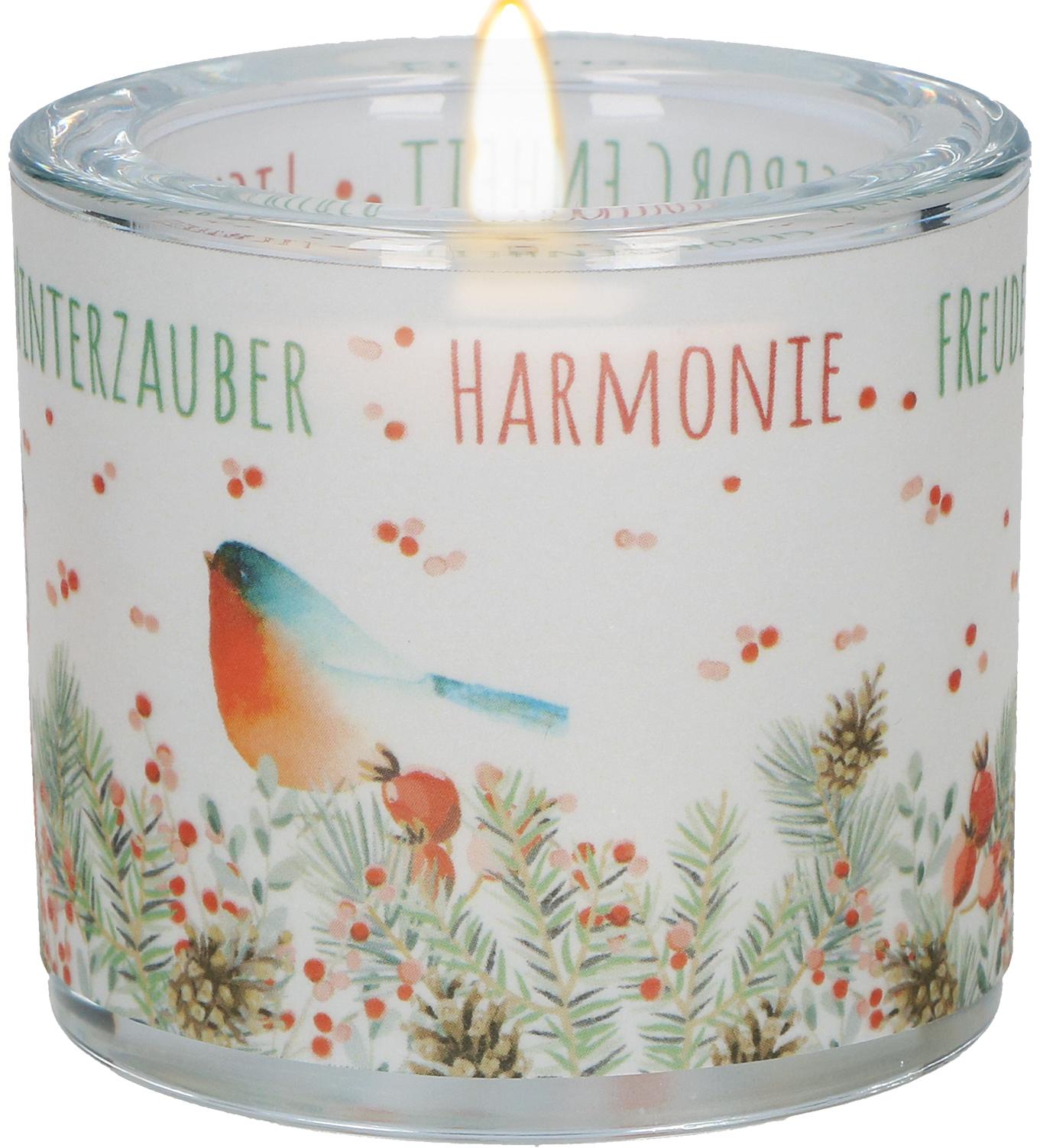 Vorderes Coverbild LichtMoment Winterzauber