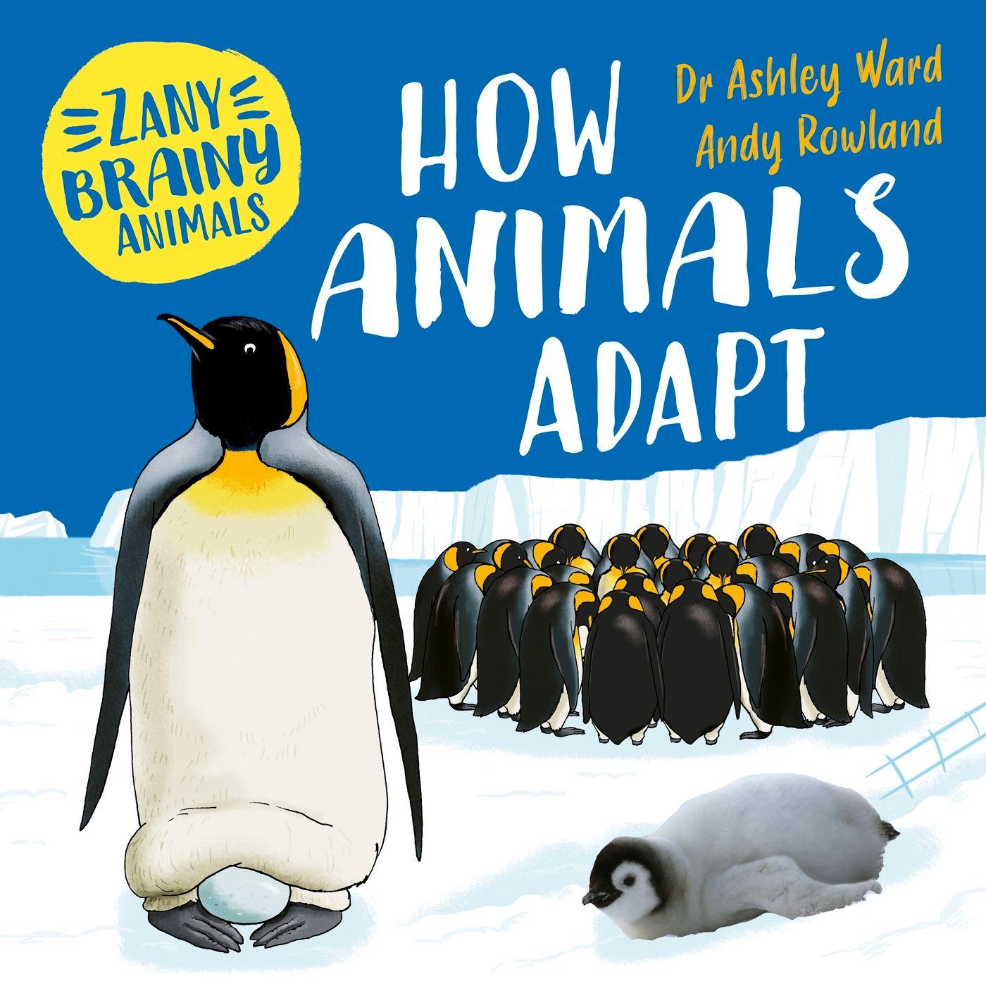 Vorderes Coverbild Zany Brainy Animals: How Animals Adapt