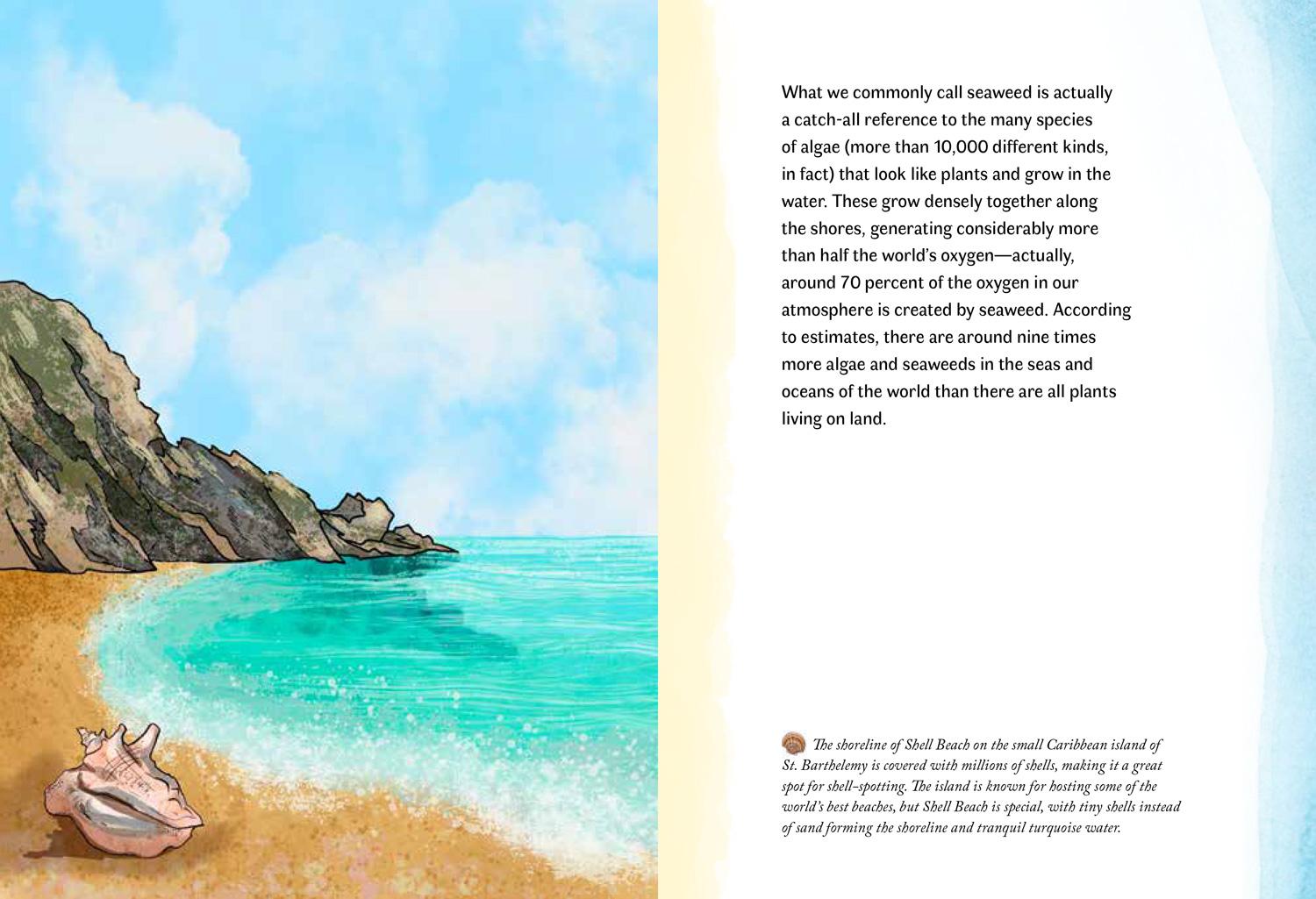 Beispielinhalt (Bild) By the Sea