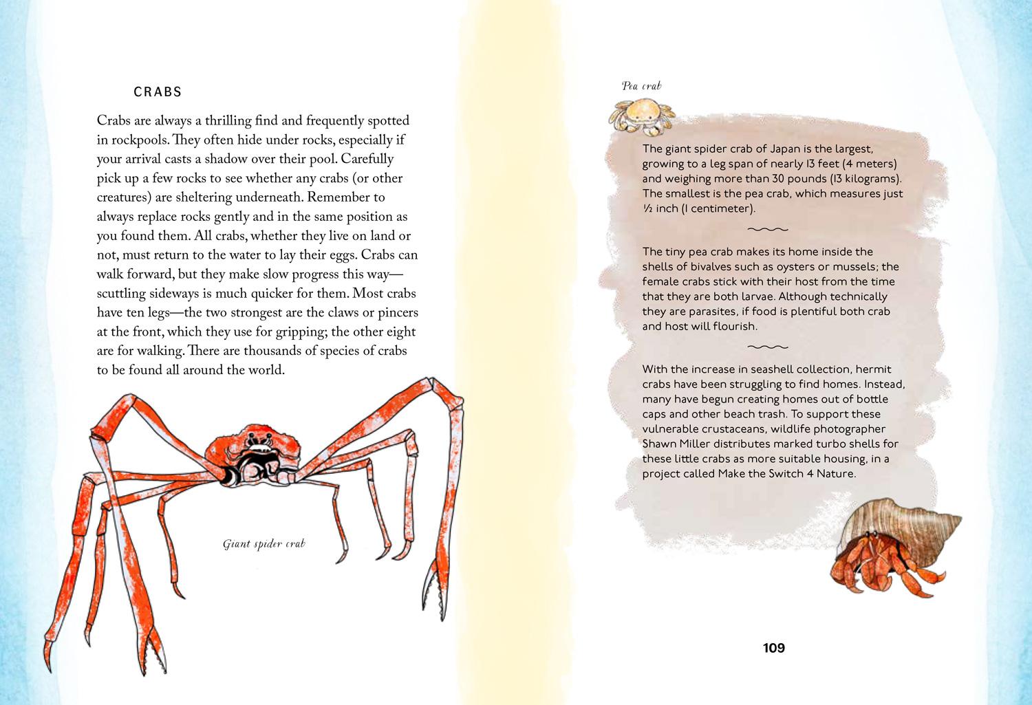 Beispielinhalt (Bild) By the Sea